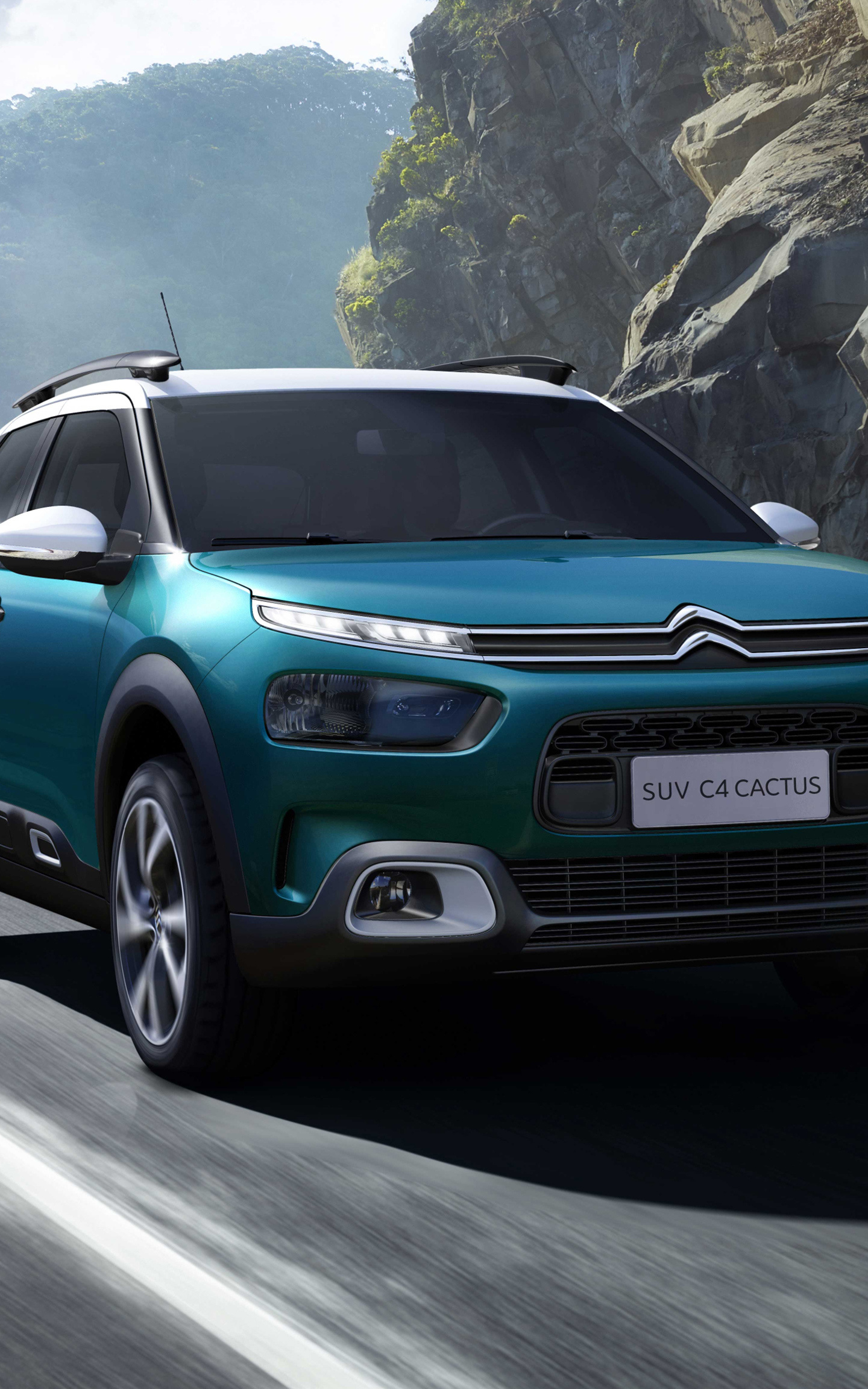 Citroen C4 Cactus Wallpapers