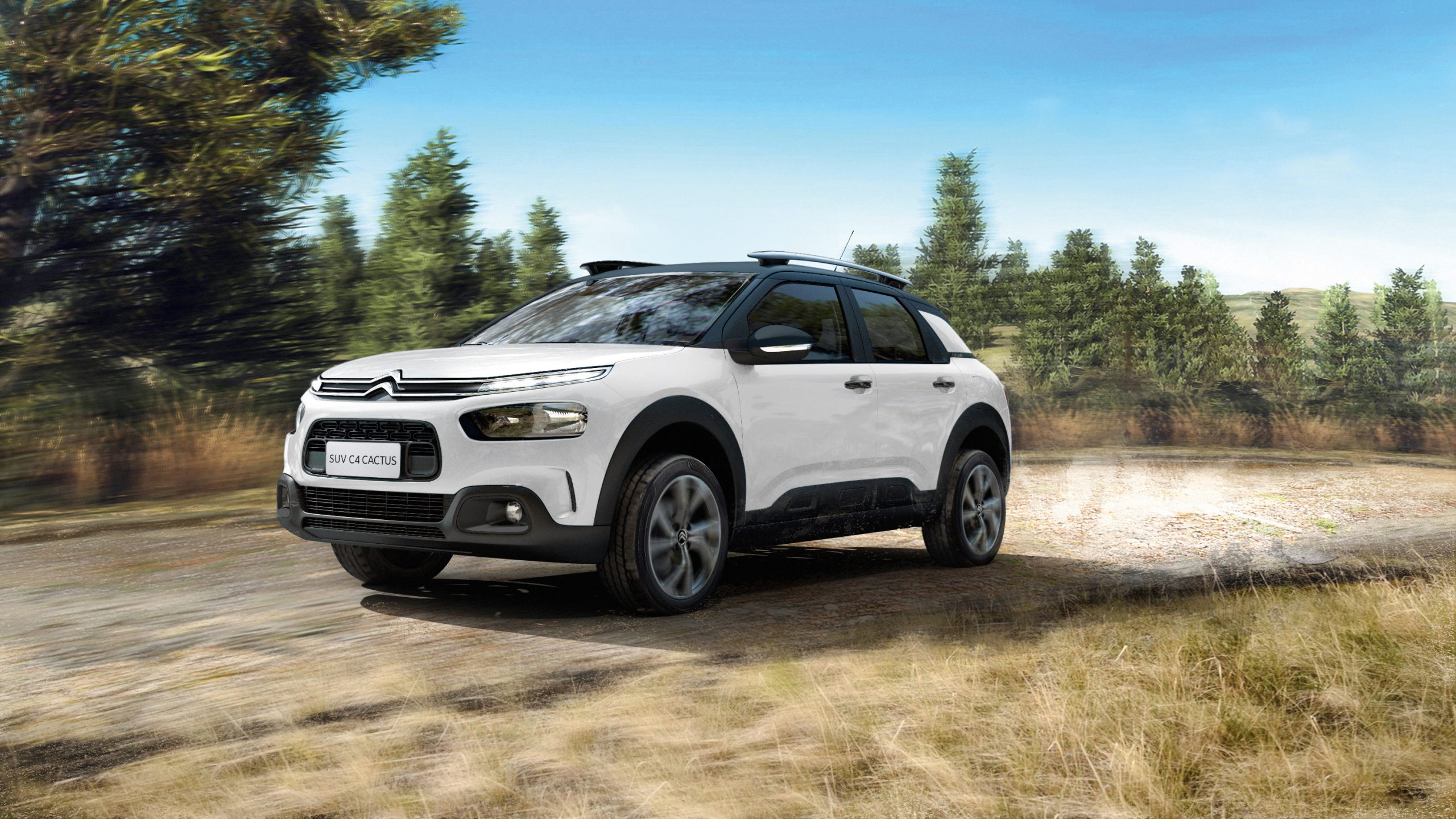 Citroen C4 Cactus Wallpapers