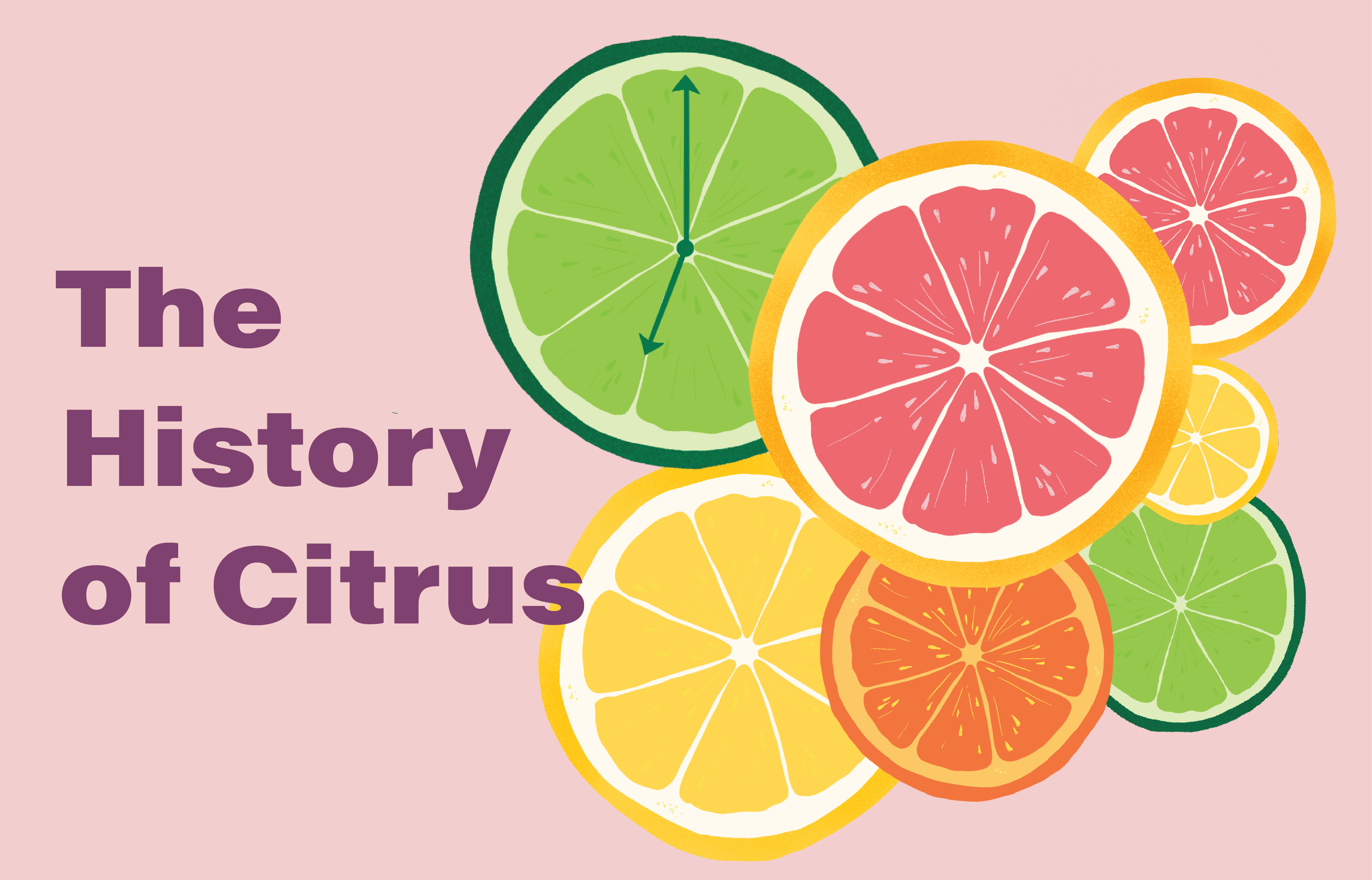 Citrus Background