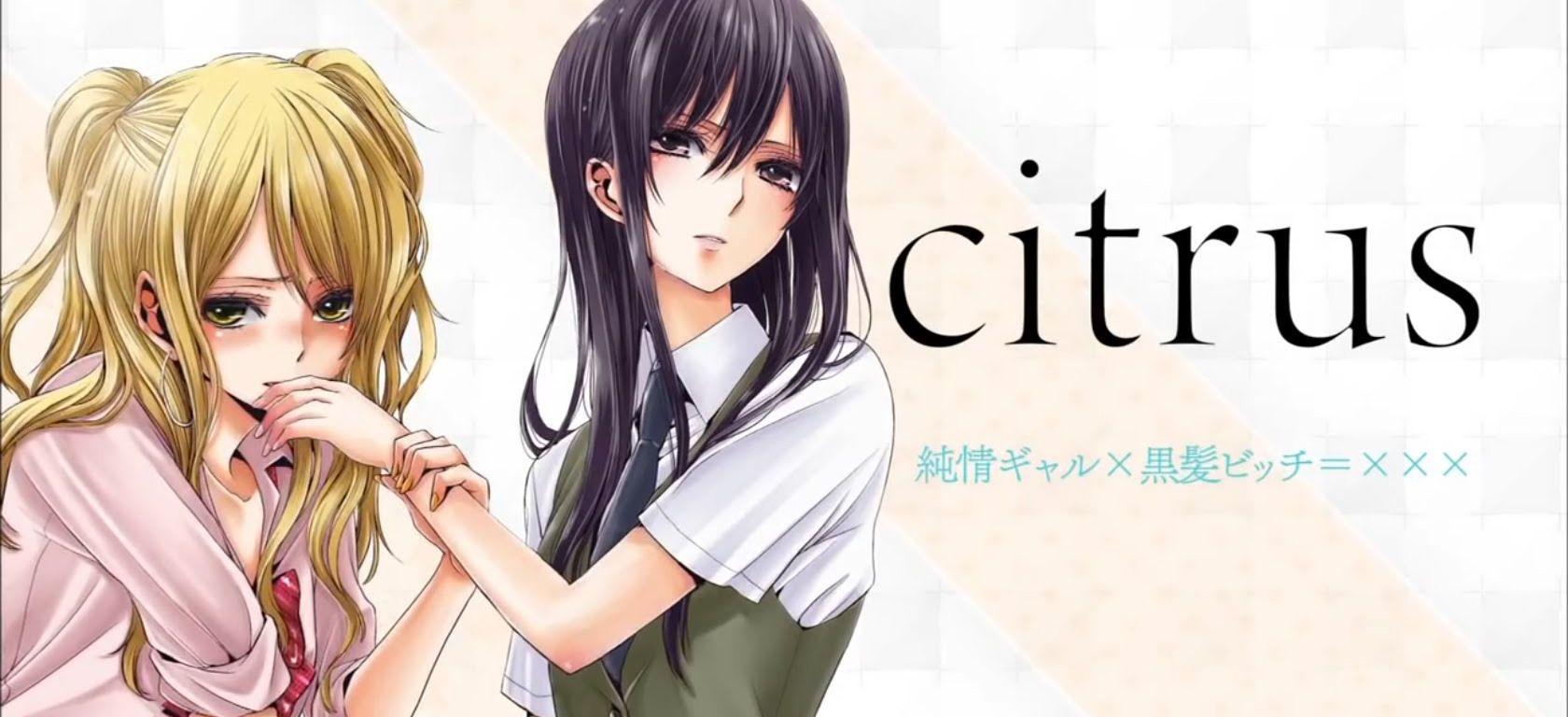 Citrus Wallpapers