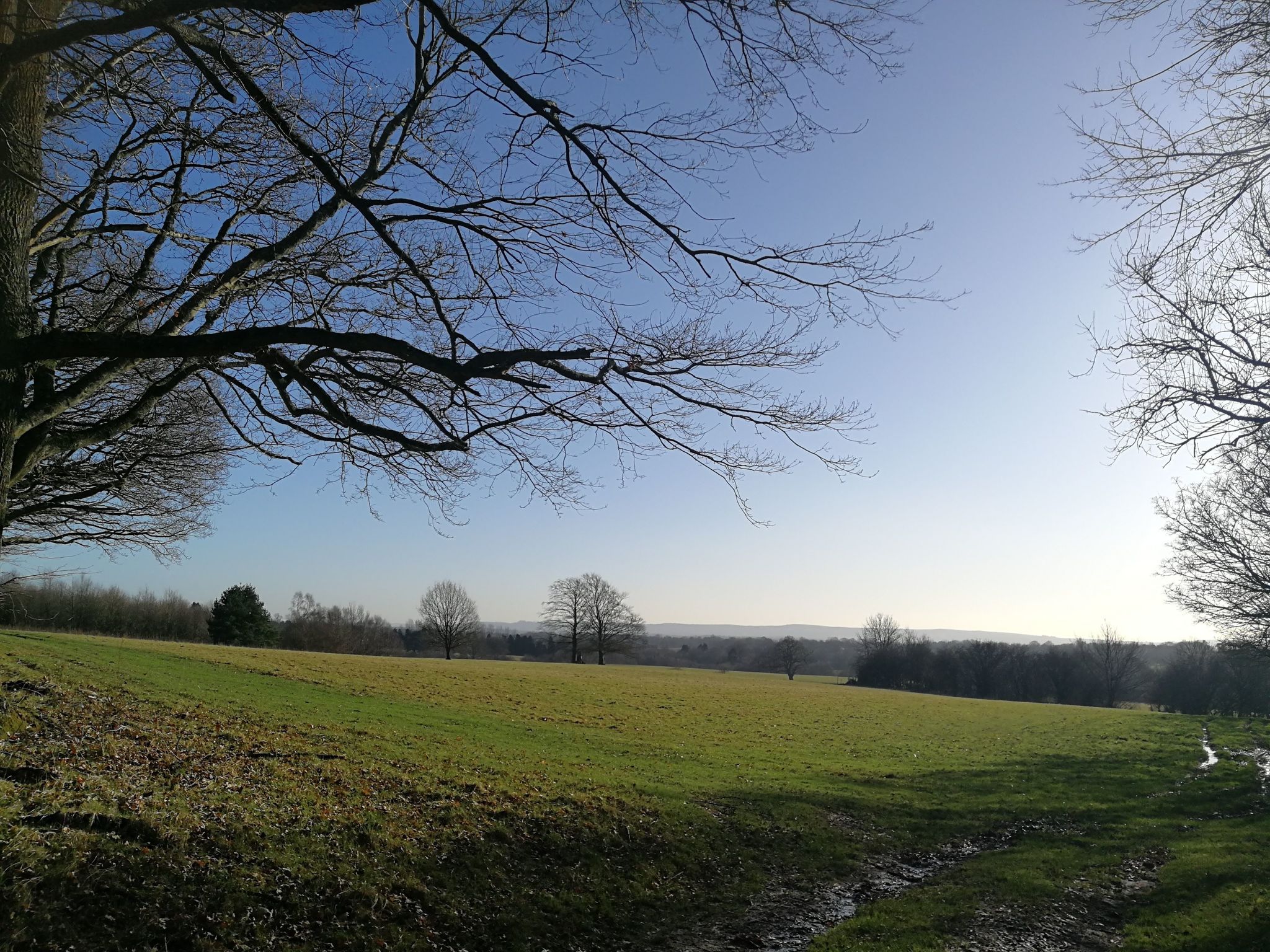 Clackmannan Tower Wallpapers