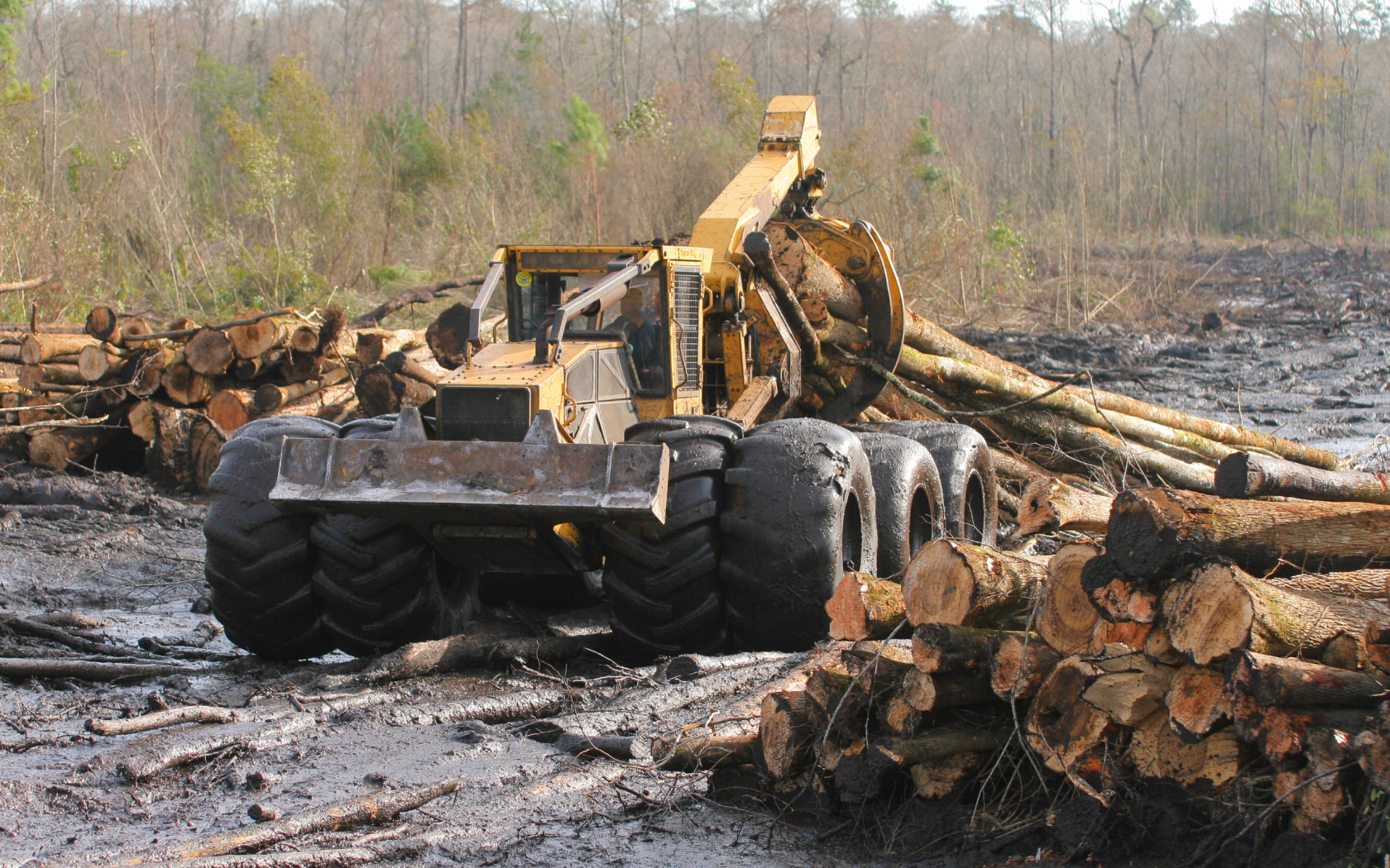 Clambunk Skidder Wallpapers