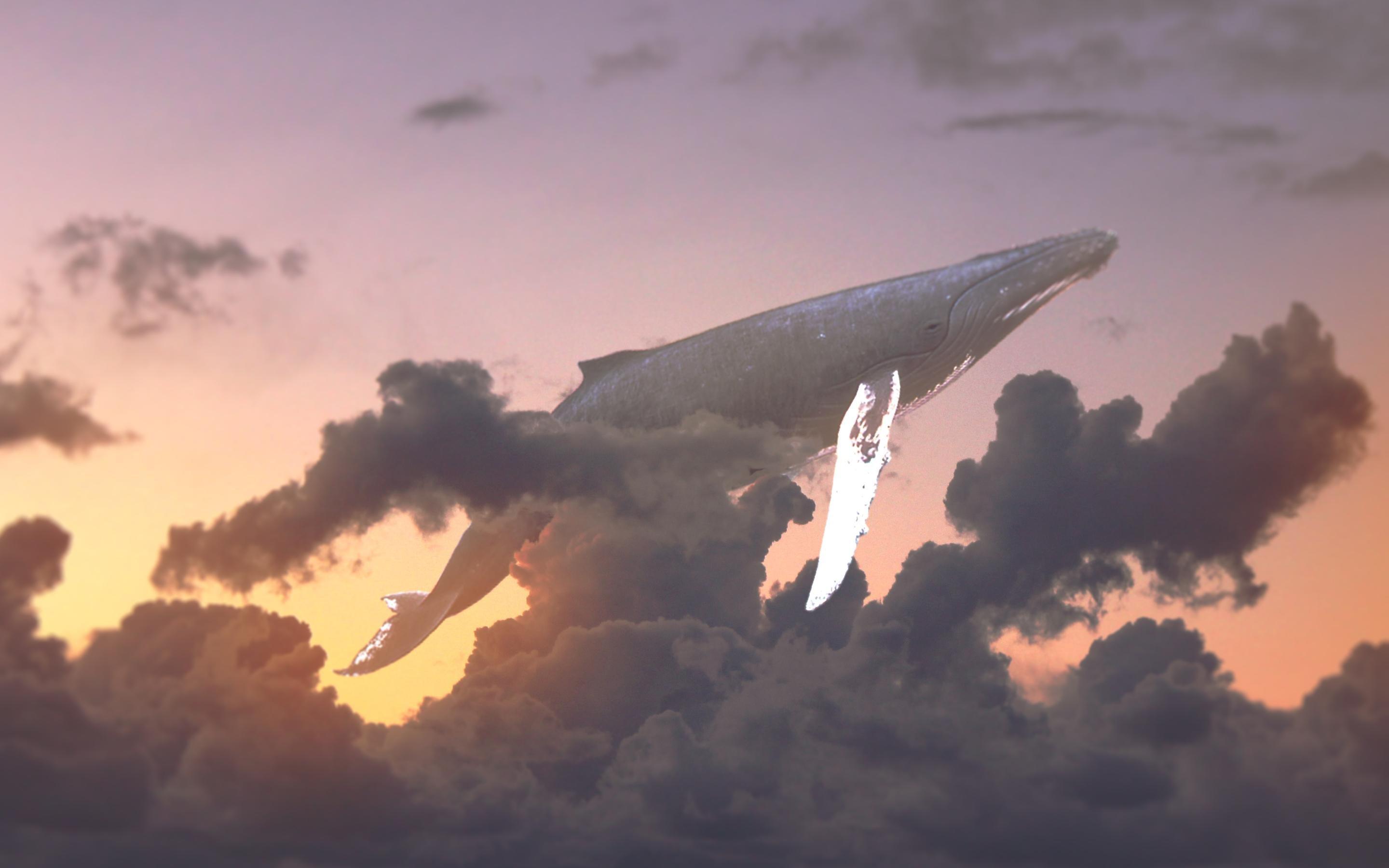 Cloud Sky Whale
 Wallpapers