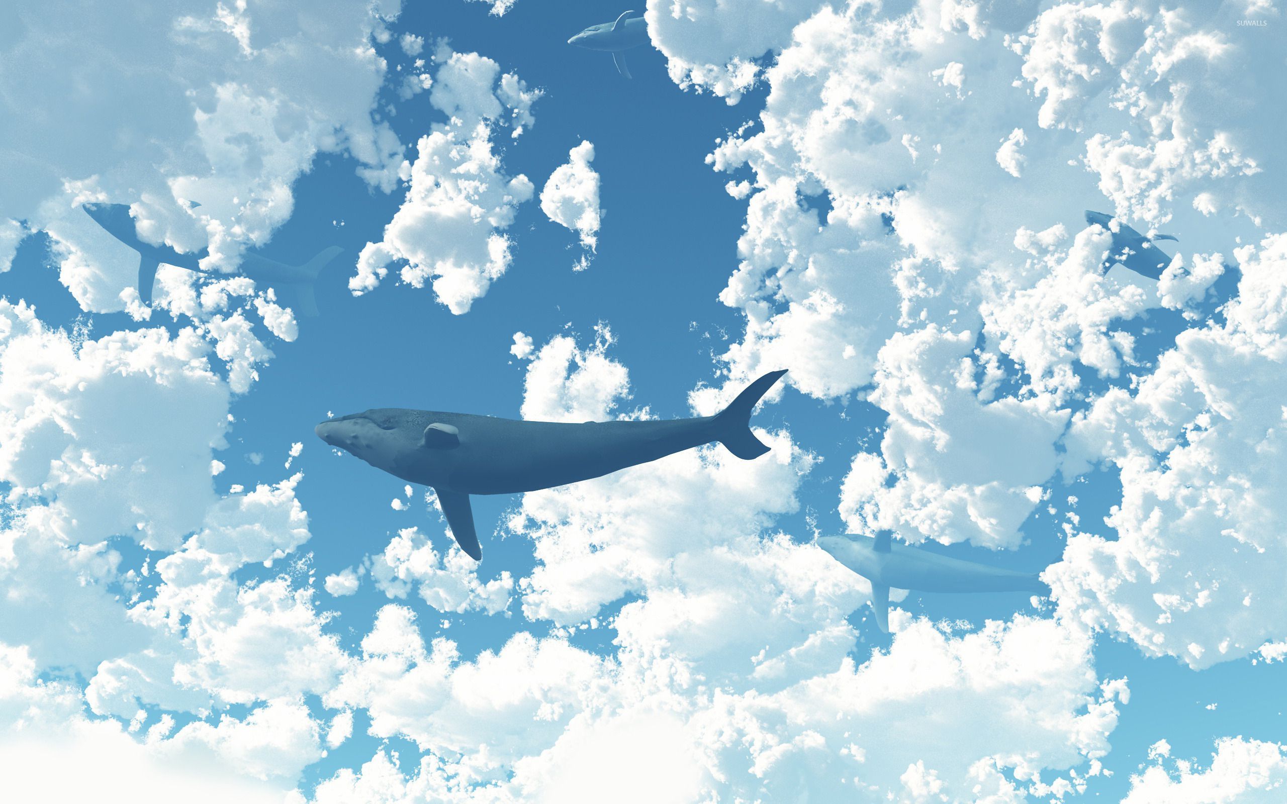Cloud Sky Whale
 Wallpapers