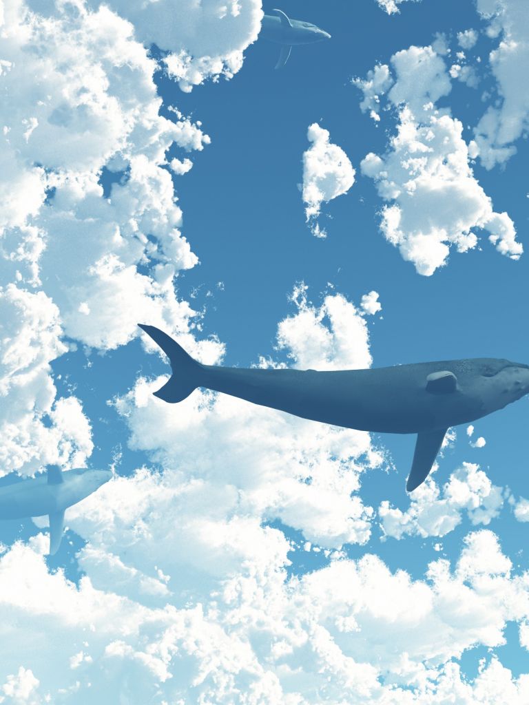 Cloud Sky Whale
 Wallpapers