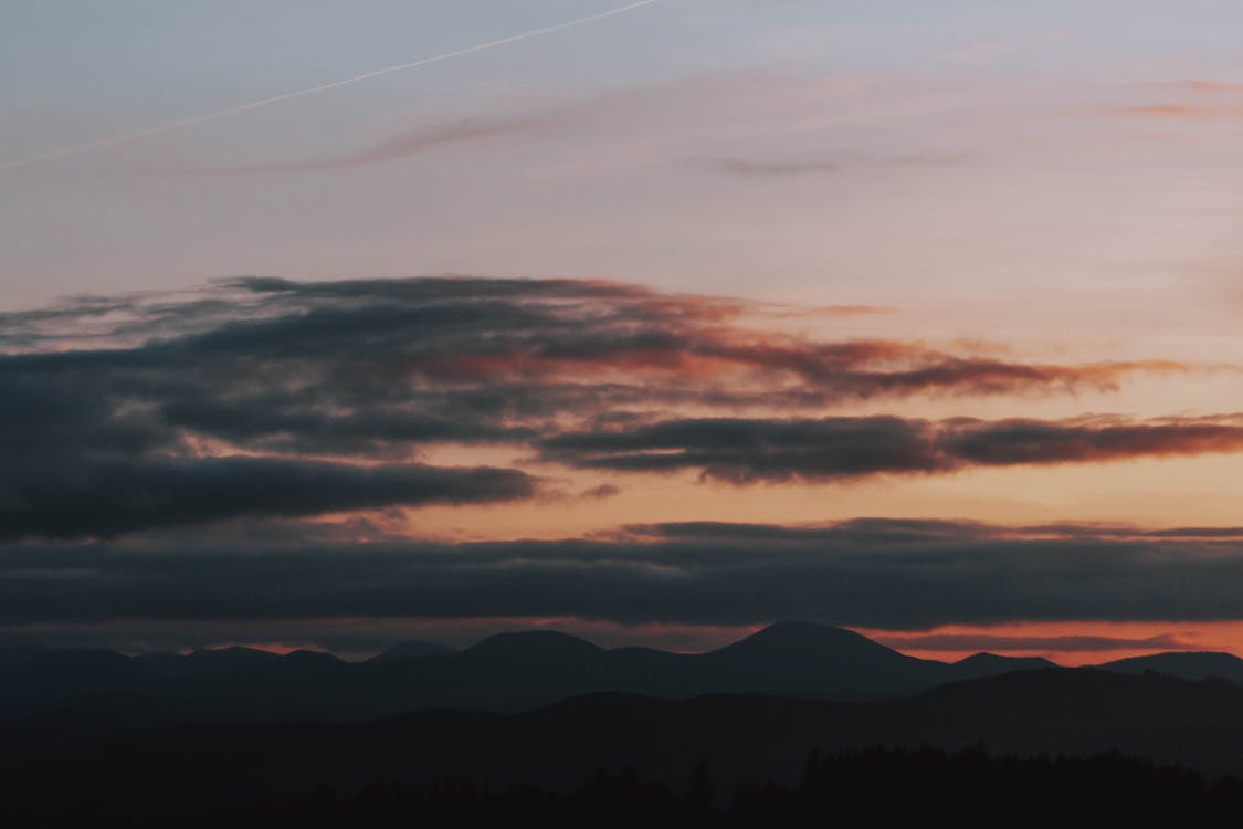 Cloudy Orange Sunset In Forest Wallpapers