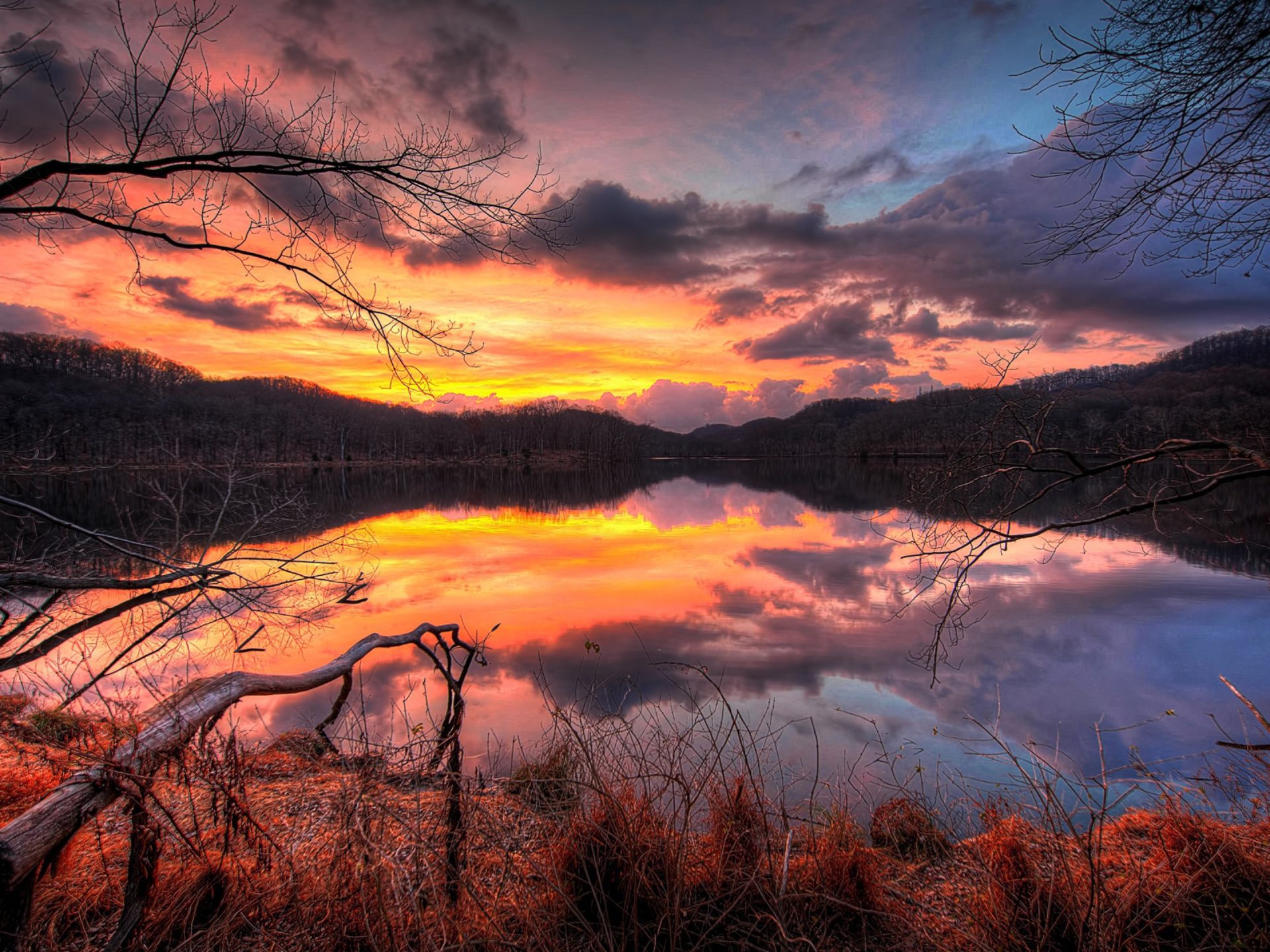 Cloudy Orange Sunset In Forest Wallpapers