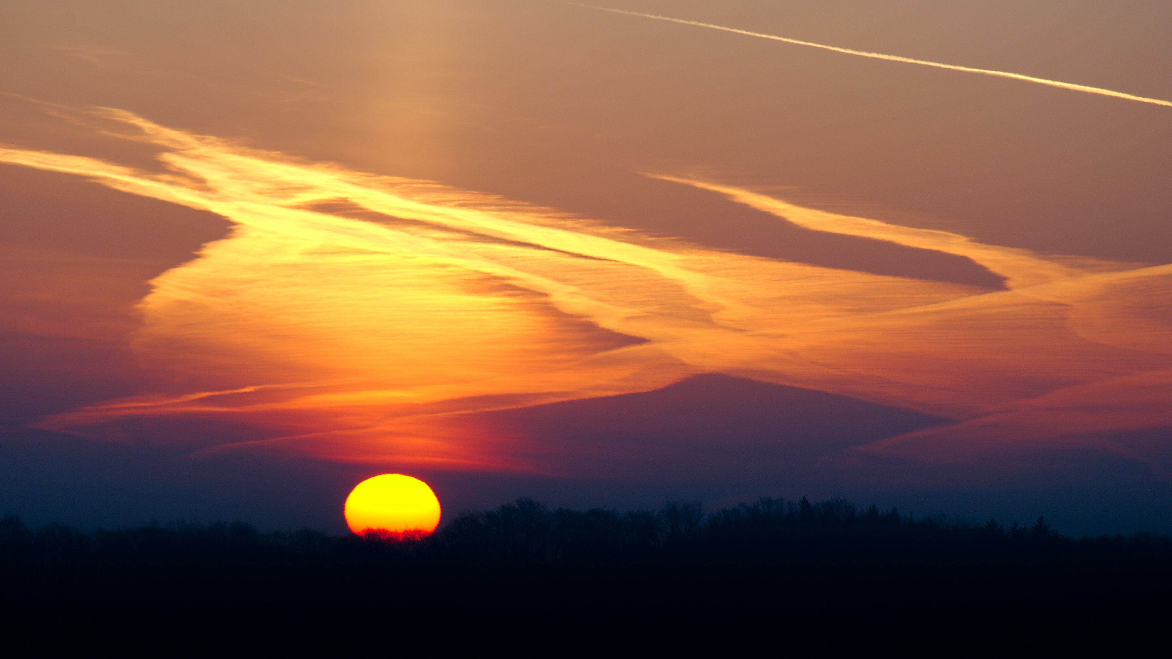 Cloudy Orange Sunset In Forest Wallpapers