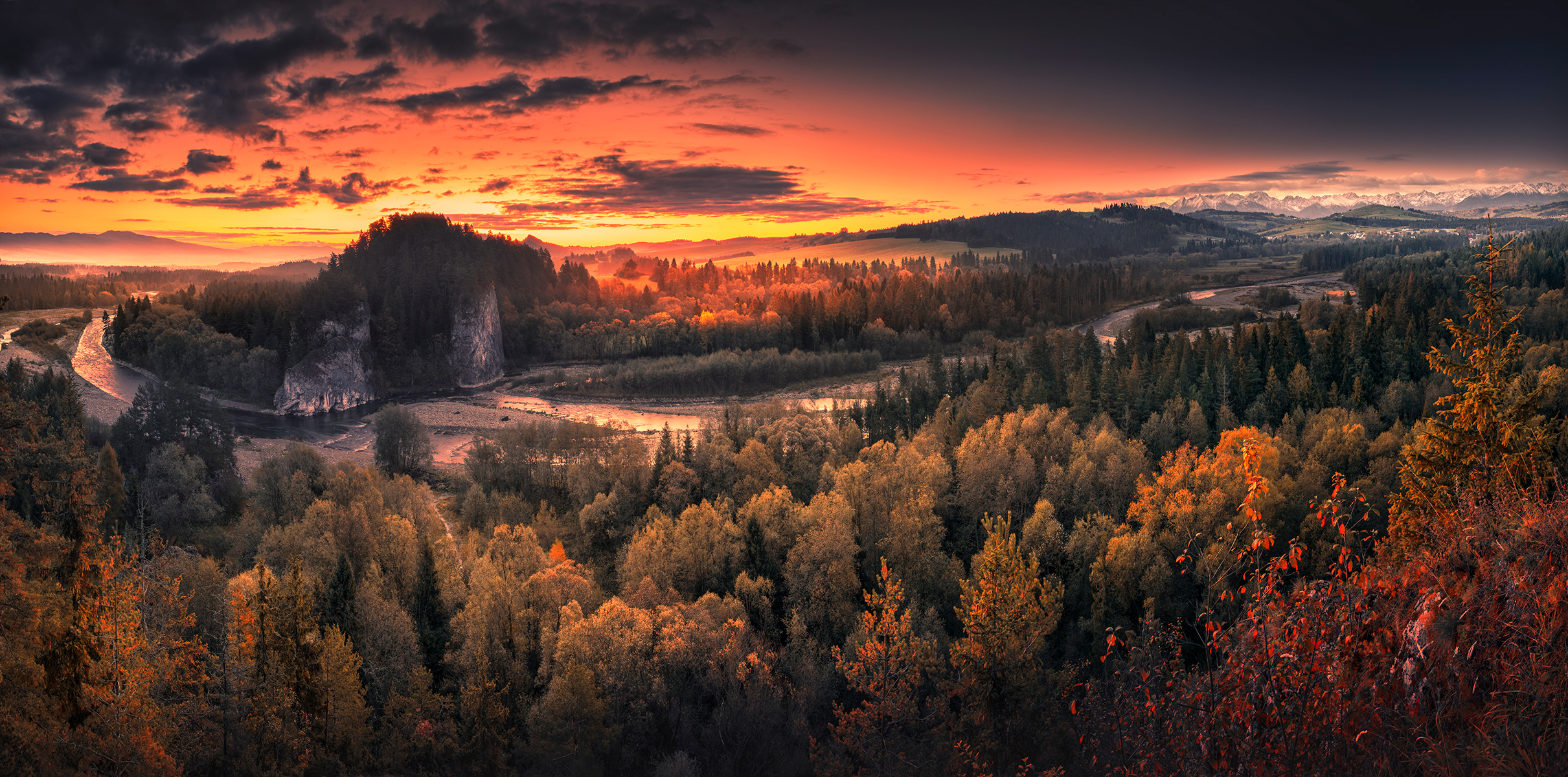 Cloudy Orange Sunset In Forest Wallpapers