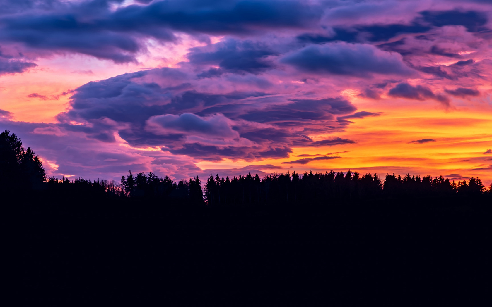 Cloudy Orange Sunset In Forest Wallpapers