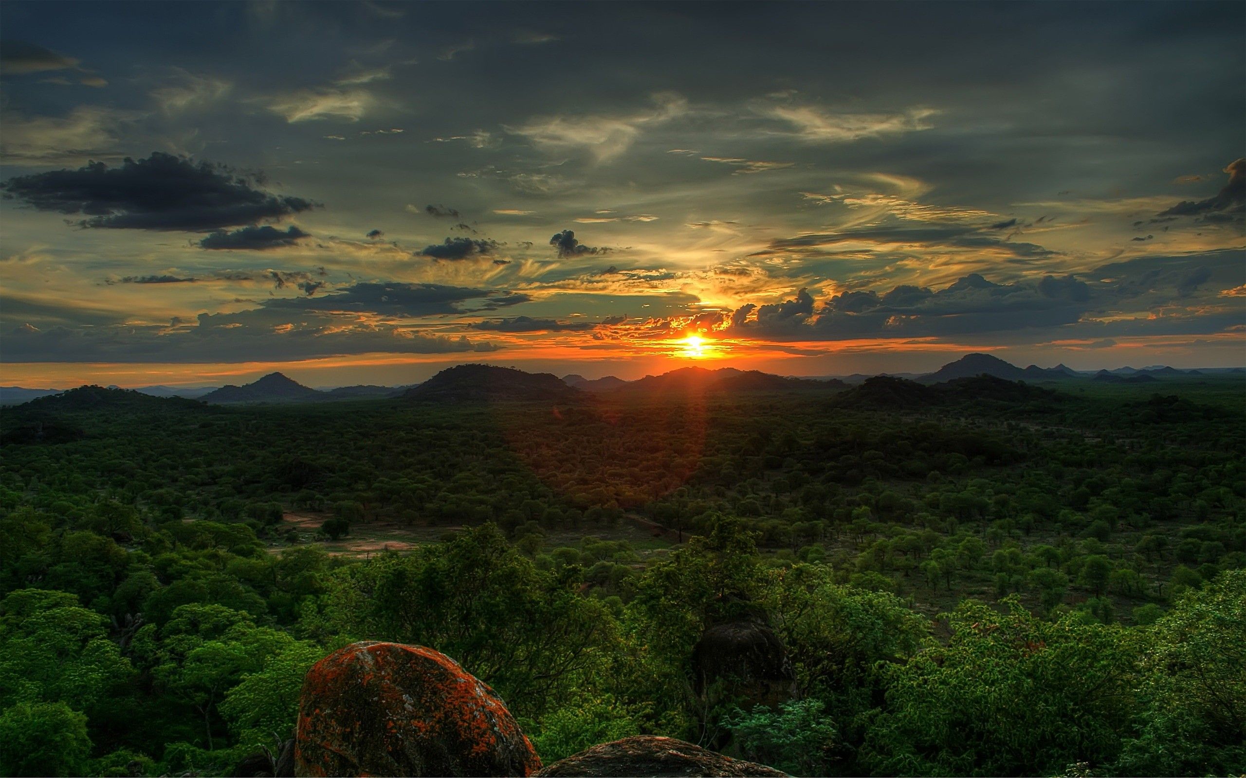 Cloudy Orange Sunset In Forest Wallpapers