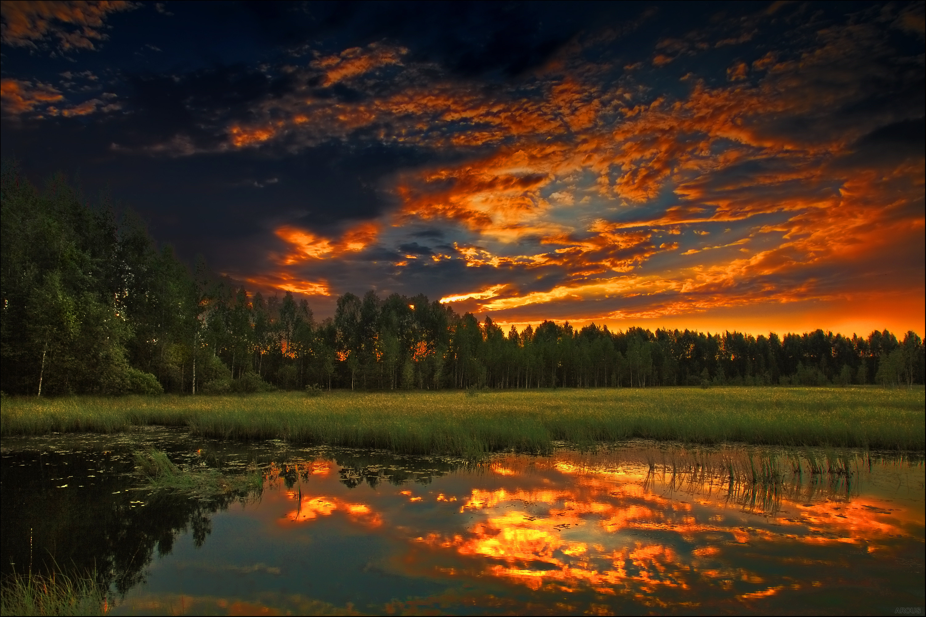 Cloudy Orange Sunset In Forest Wallpapers