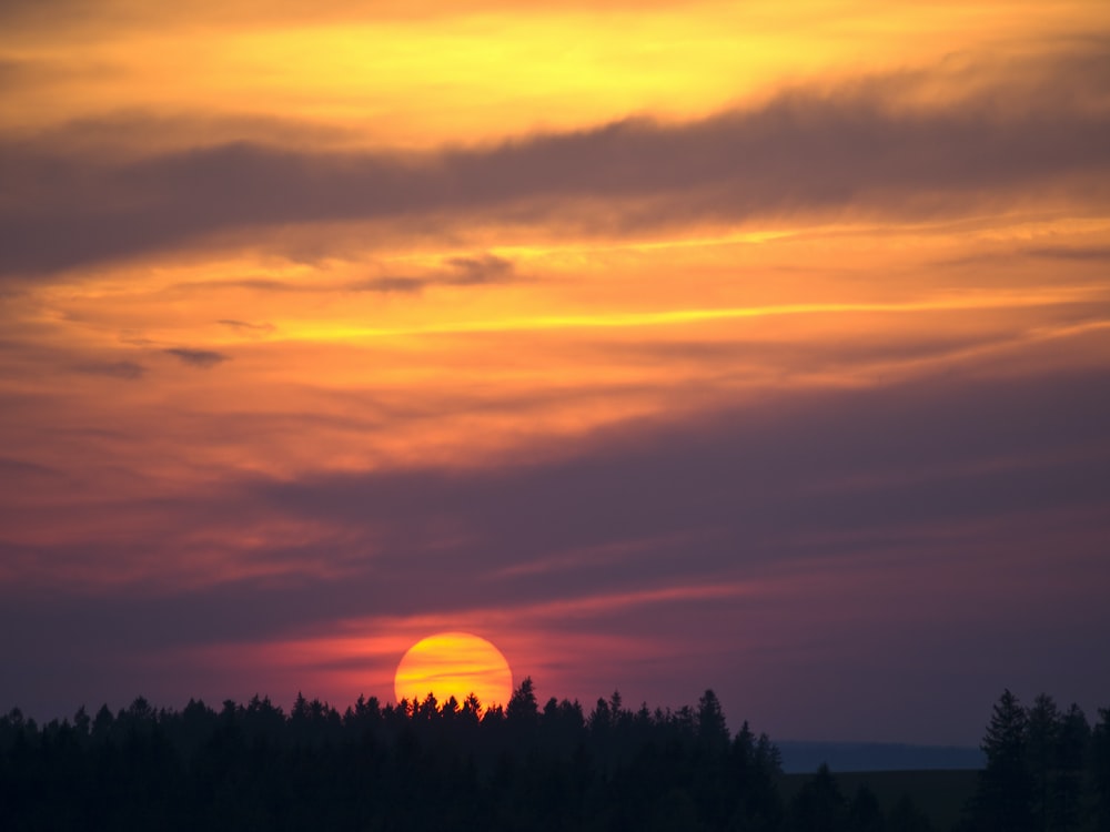 Cloudy Orange Sunset In Forest Wallpapers