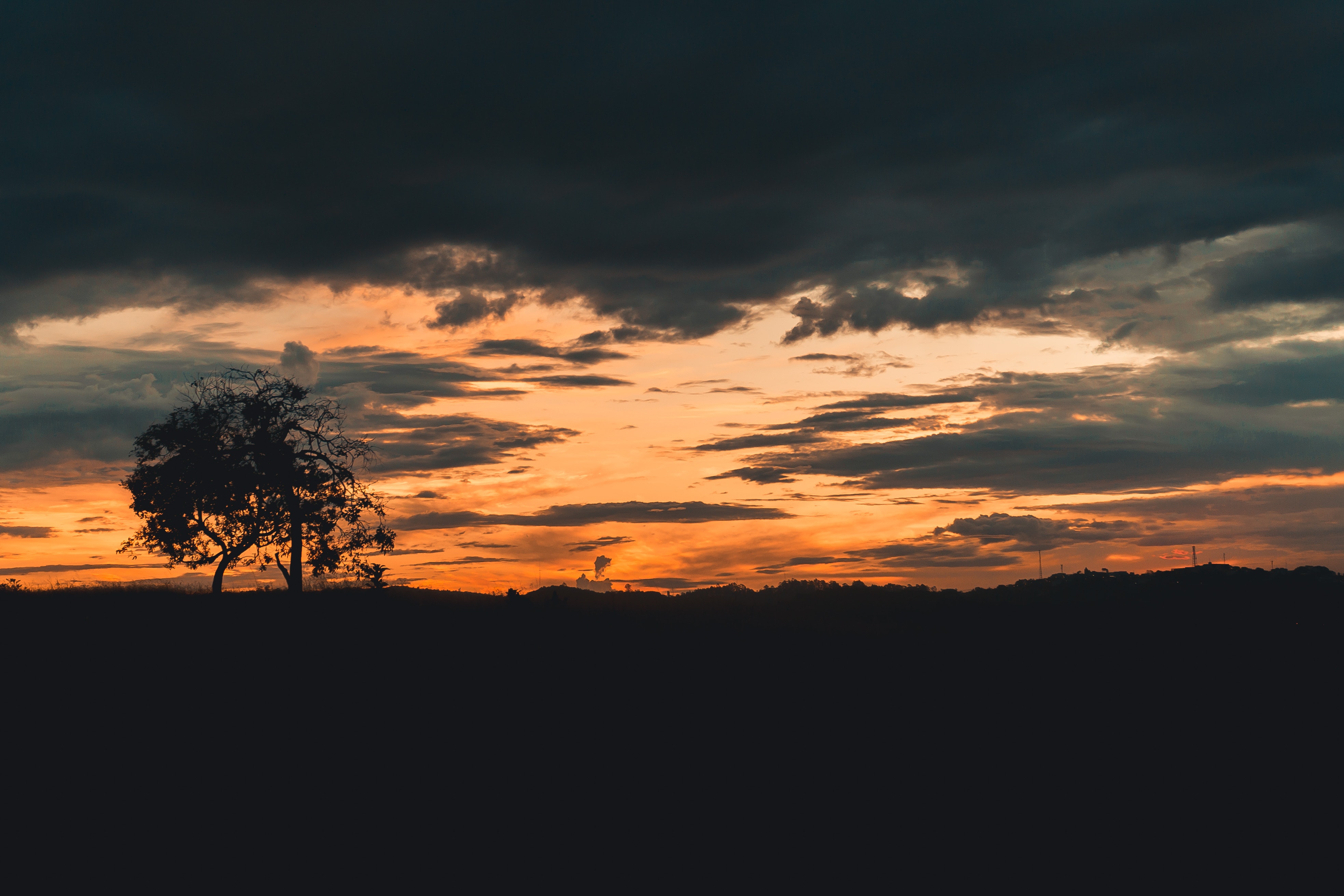 Cloudy Orange Sunset In Forest Wallpapers