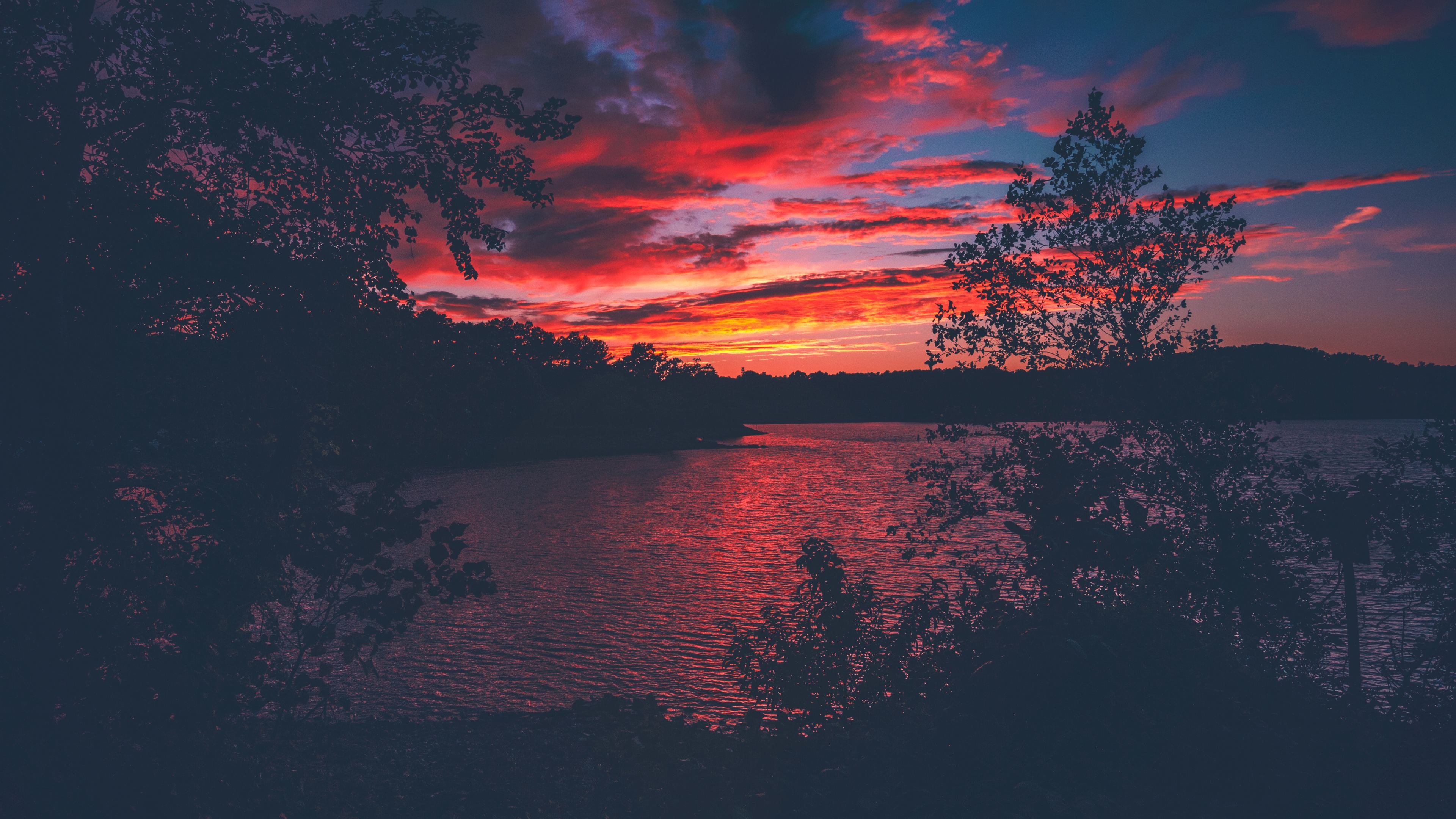 Cloudy Orange Sunset In Forest Wallpapers