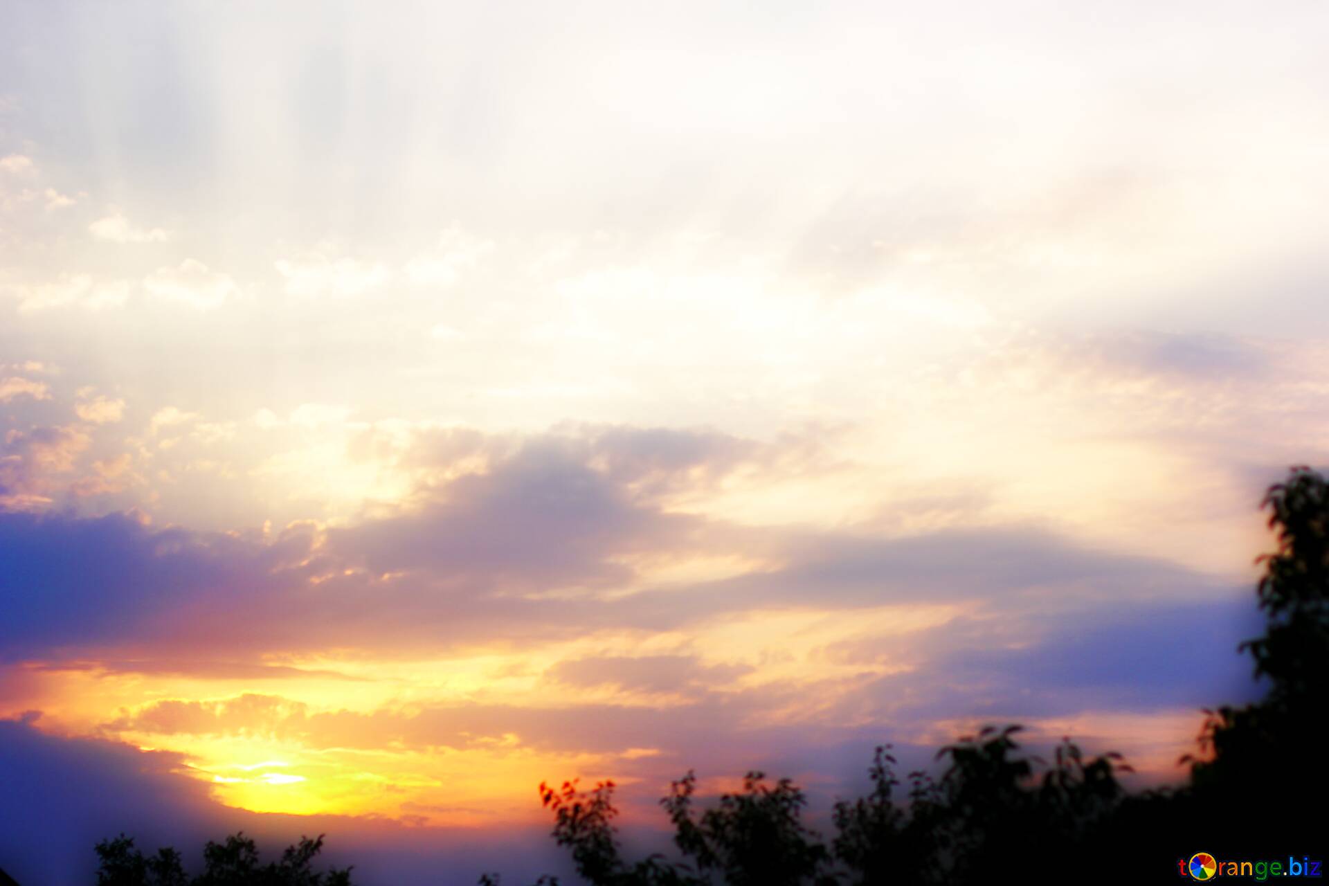 Cloudy Orange Sunset In Forest Wallpapers