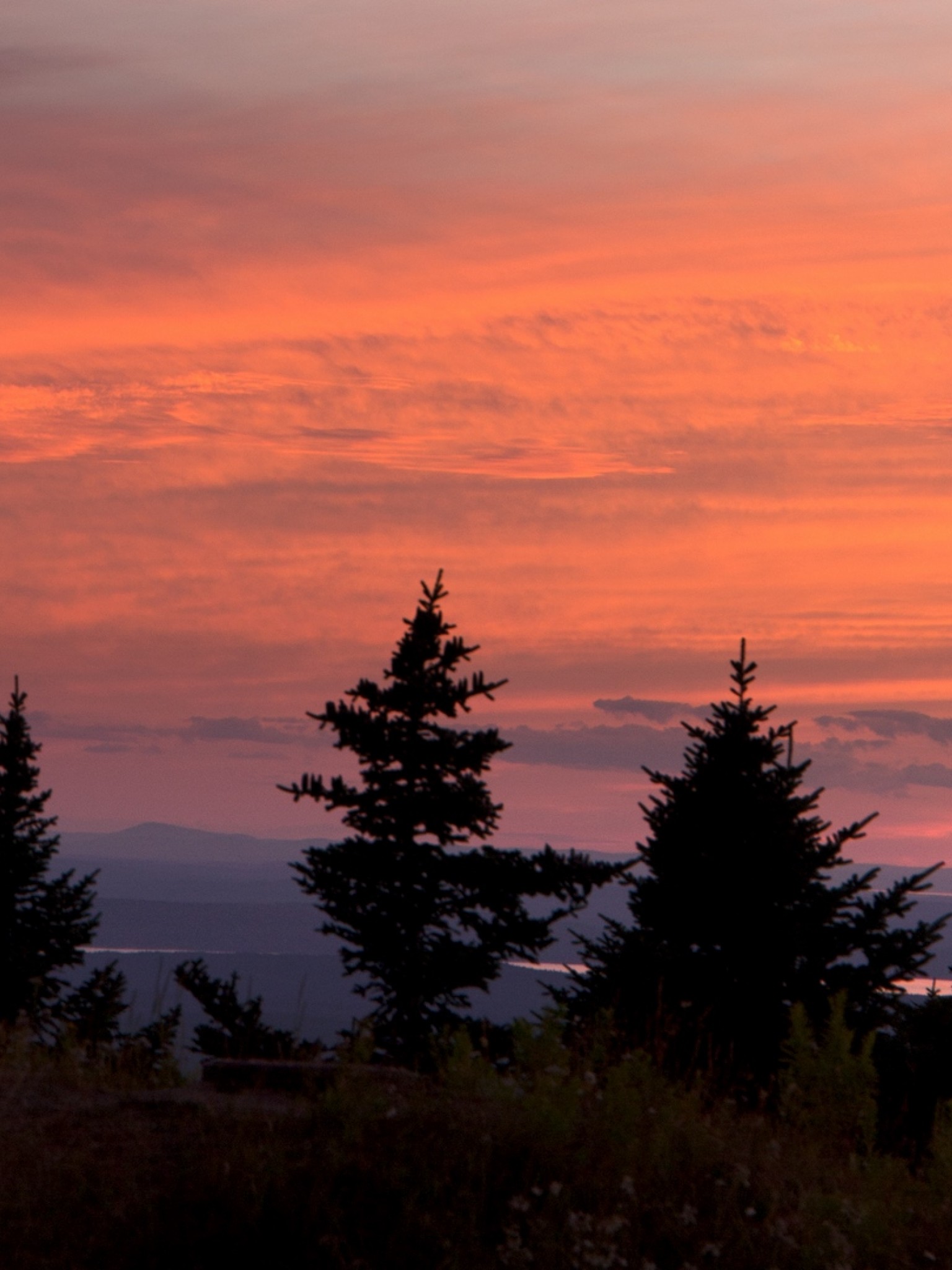 Cloudy Sunset And Trees Wallpapers