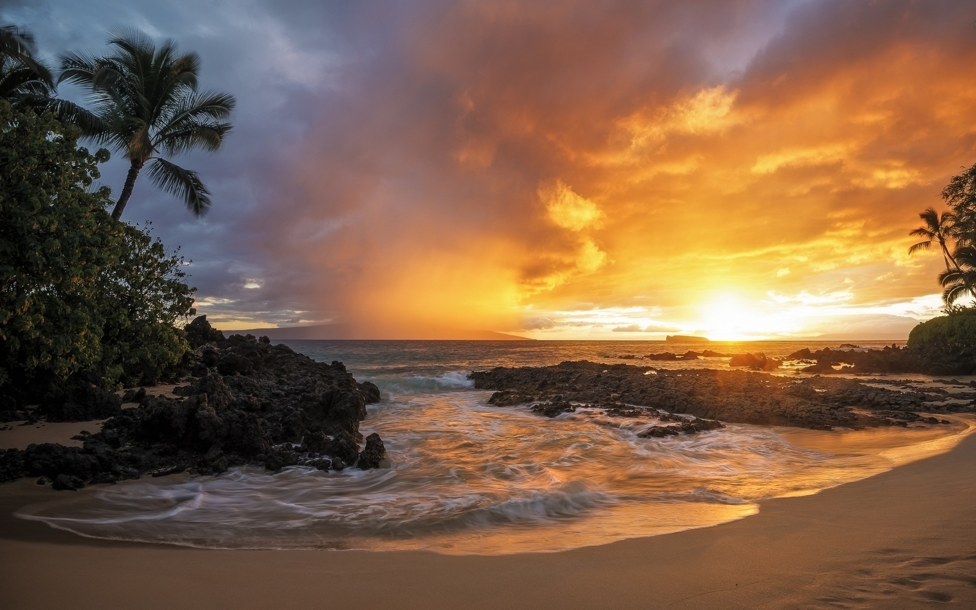 Cloudy Sunset And Trees Wallpapers