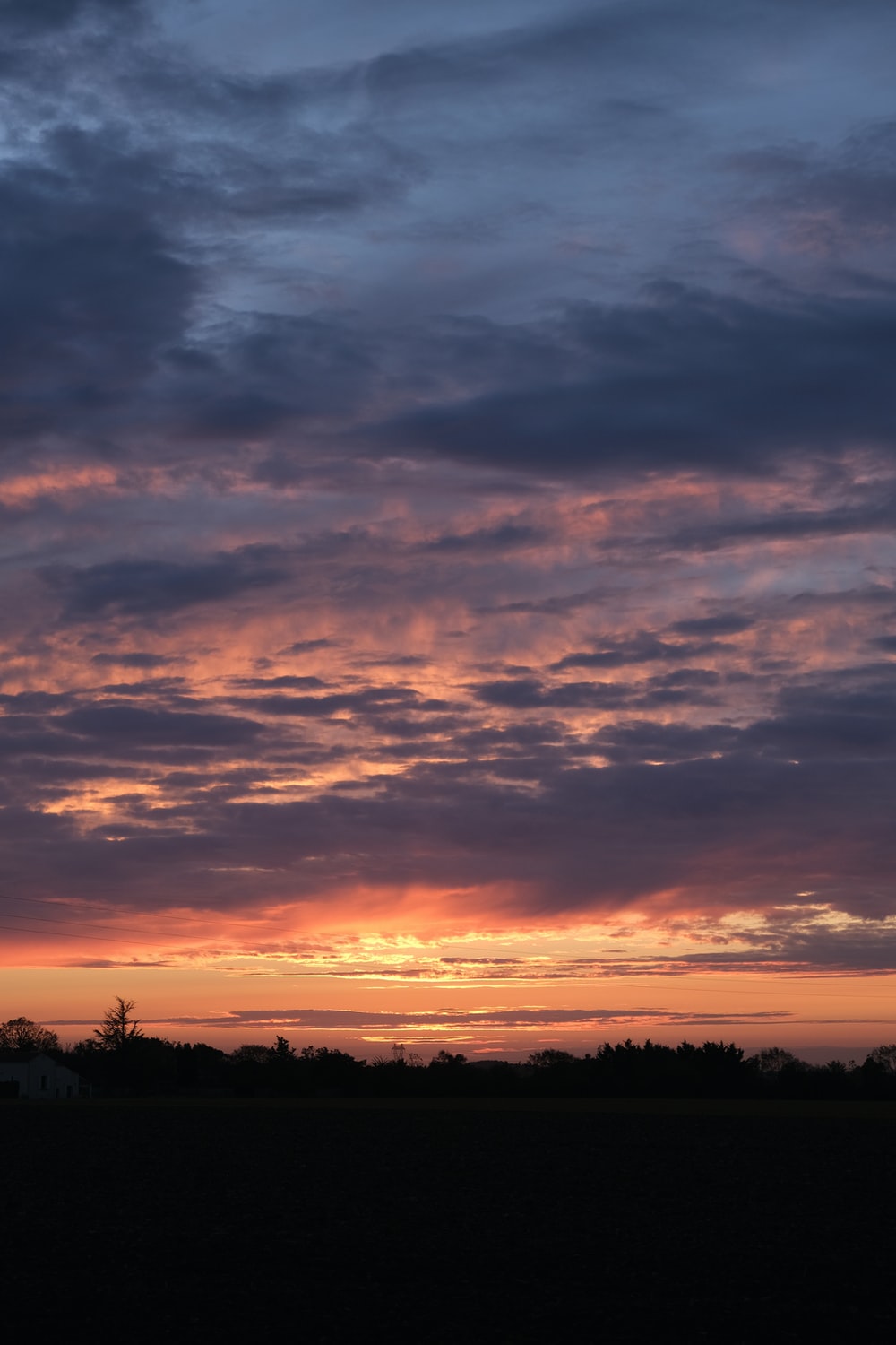 Cloudy Sunset And Trees Wallpapers