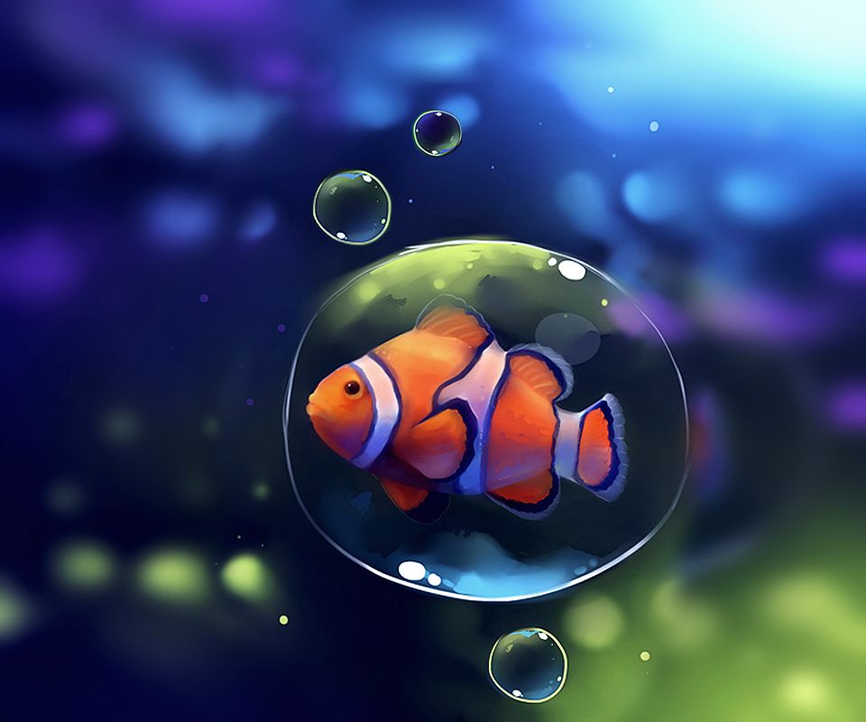 Clownfish Wallpapers