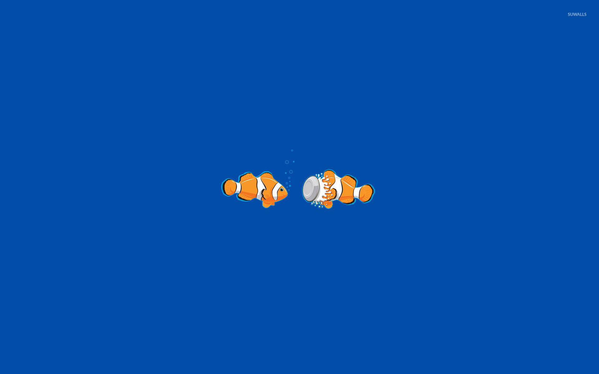 Clownfish Wallpapers