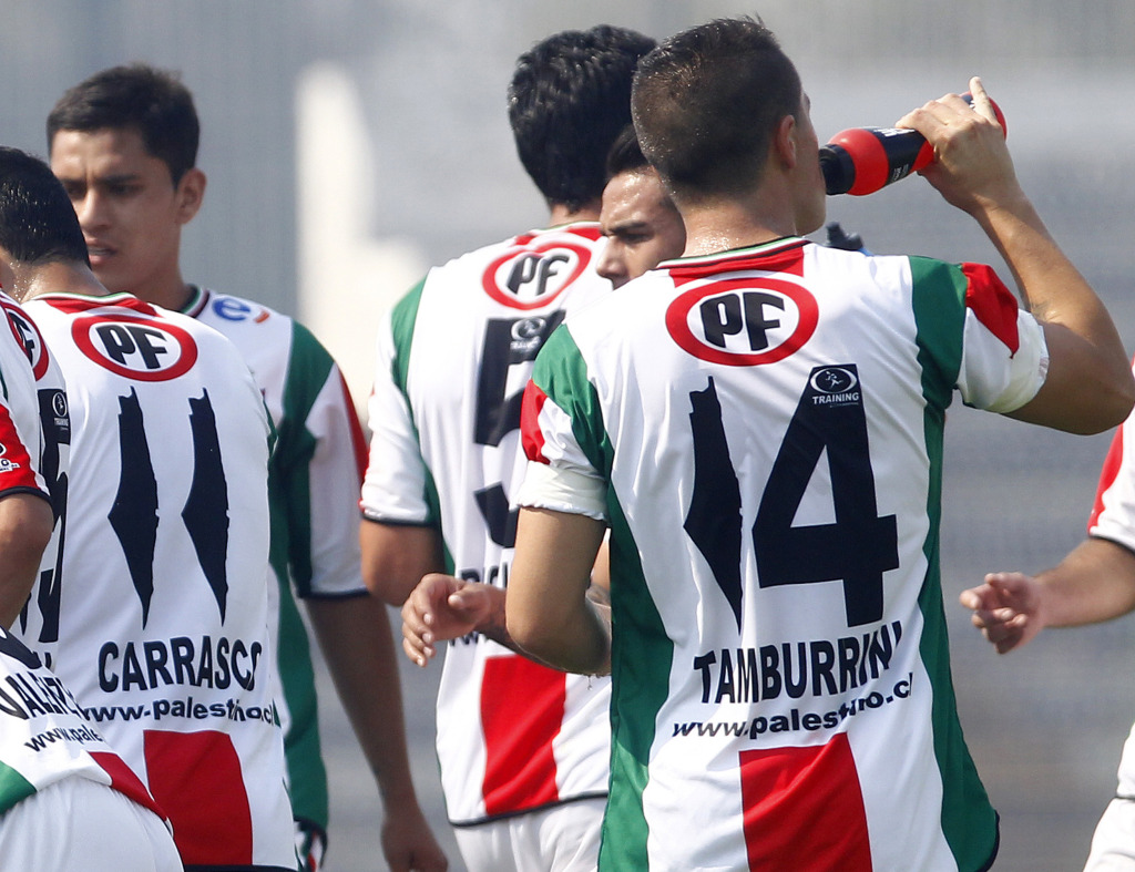 Club Deportivo Palestino Wallpapers