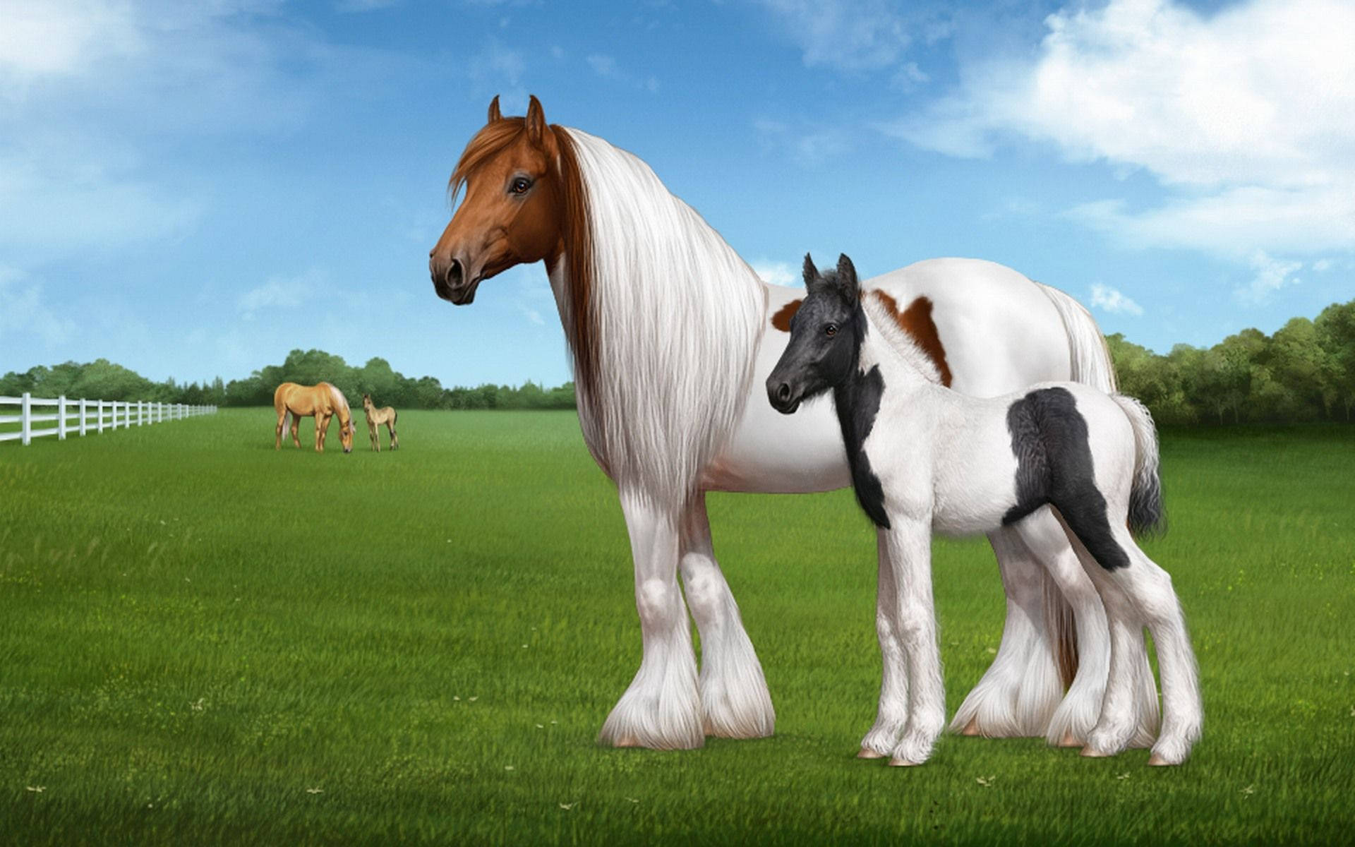 Clydesdale Wallpapers