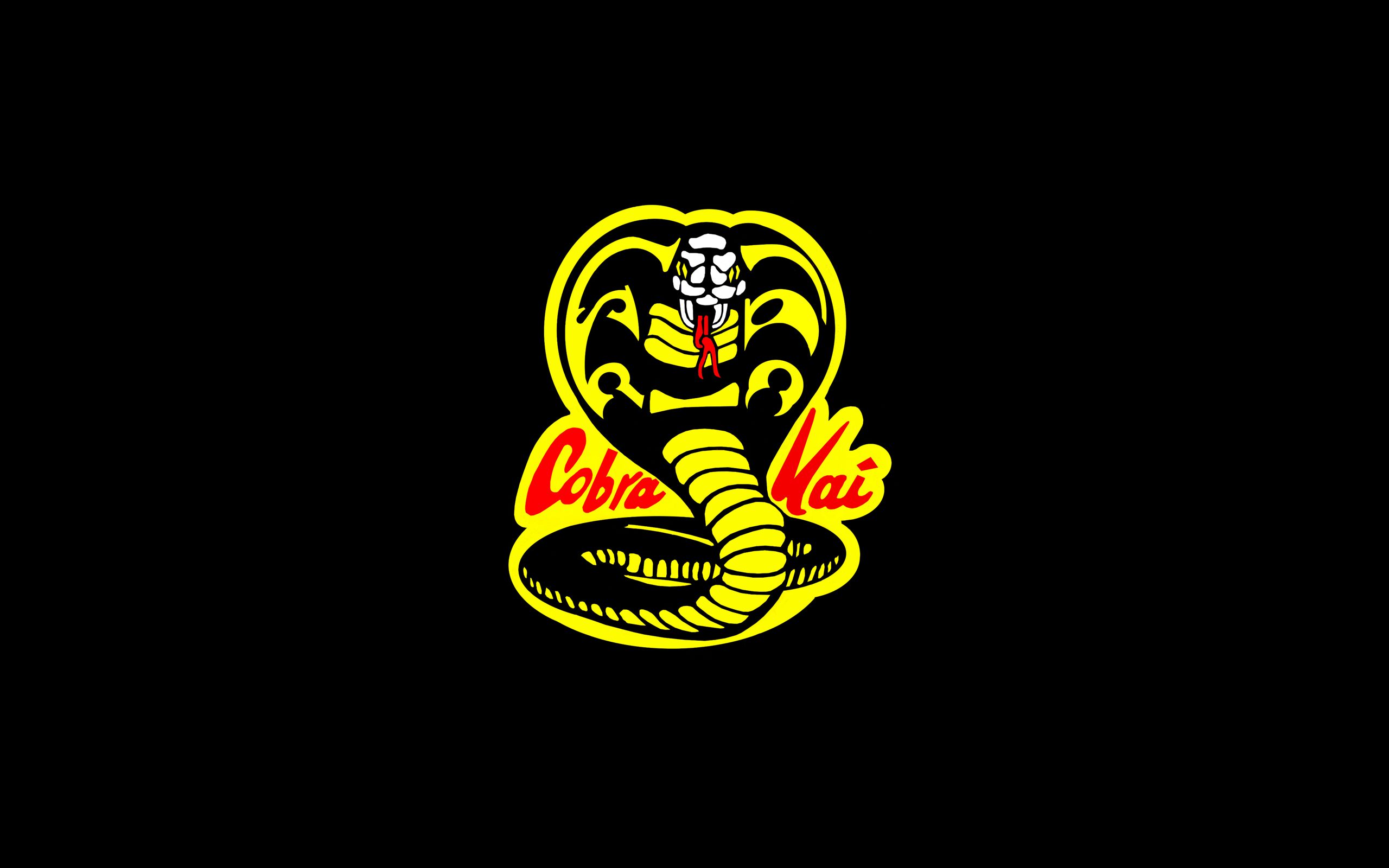 Cobra Kai Game Wallpapers