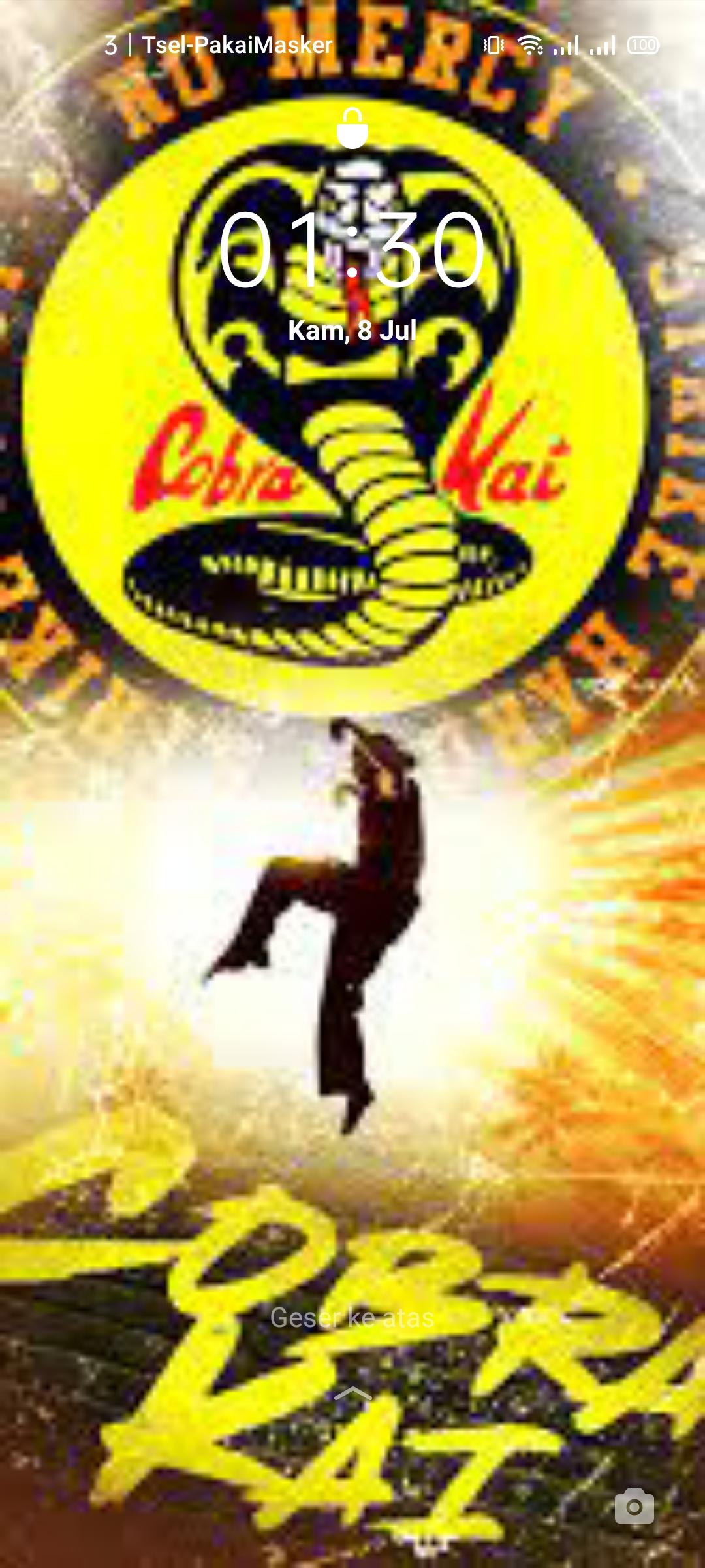 Cobra Kai Game Wallpapers