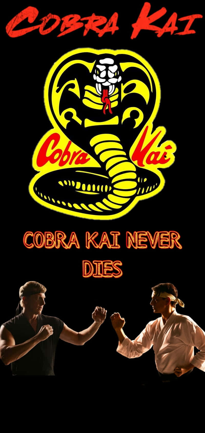 Cobra Kai Iphone Hd Wallpapers