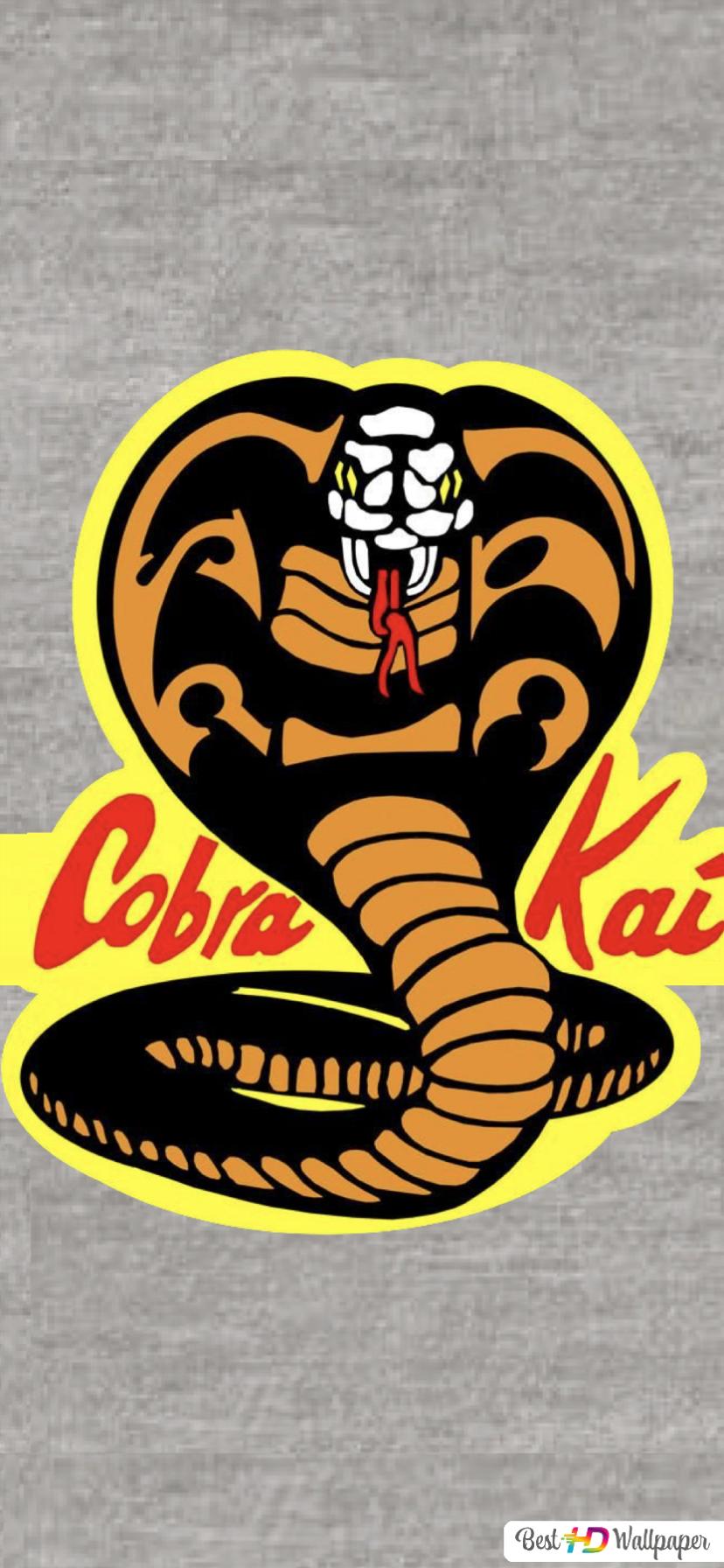 Cobra Kai Iphone Hd Wallpapers