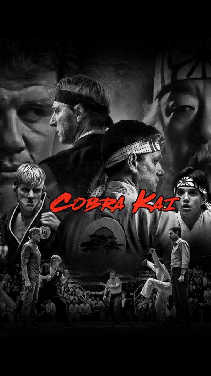 Cobra Kai Wallpapers