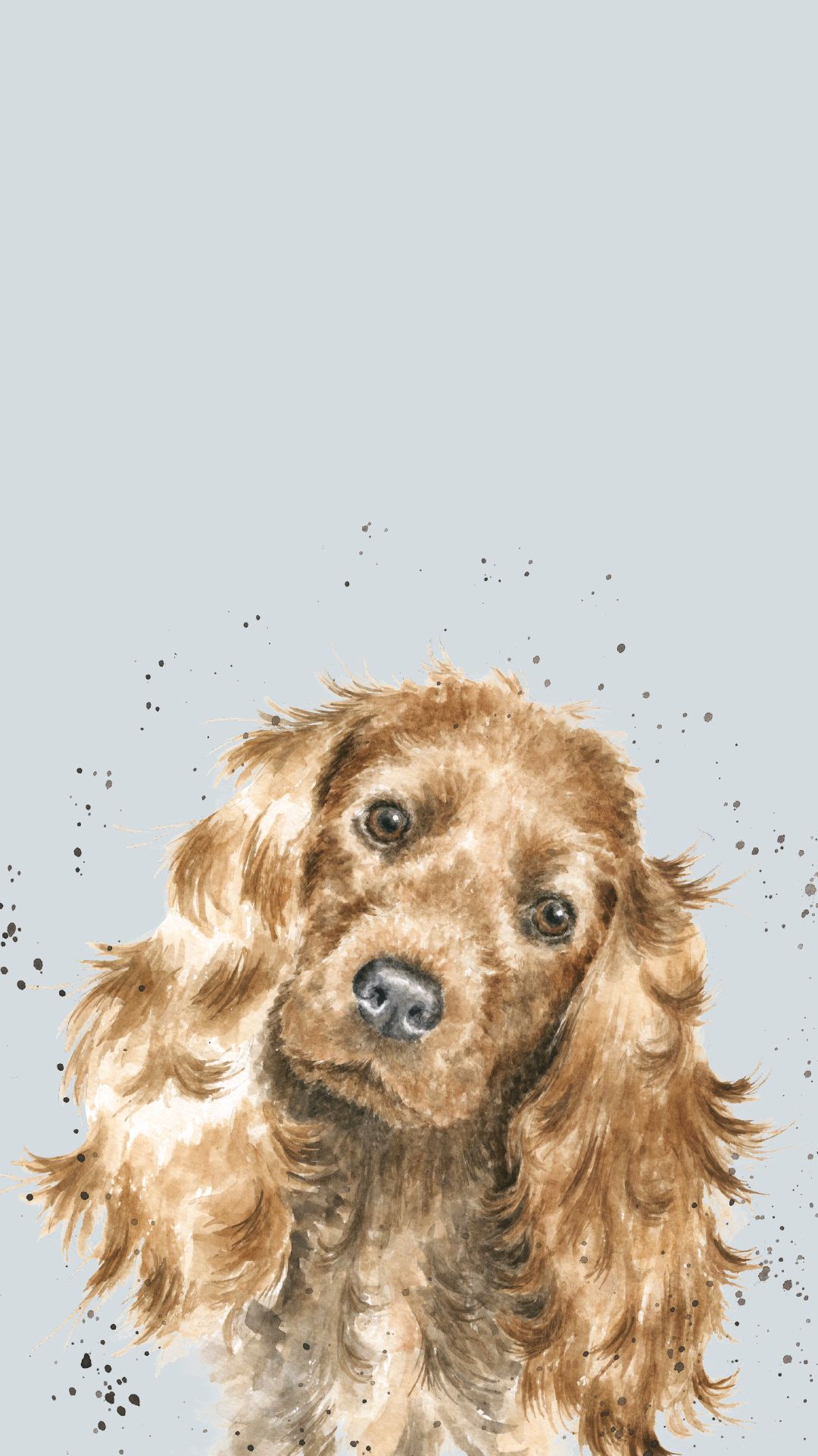 Cocker Spaniel Wallpapers