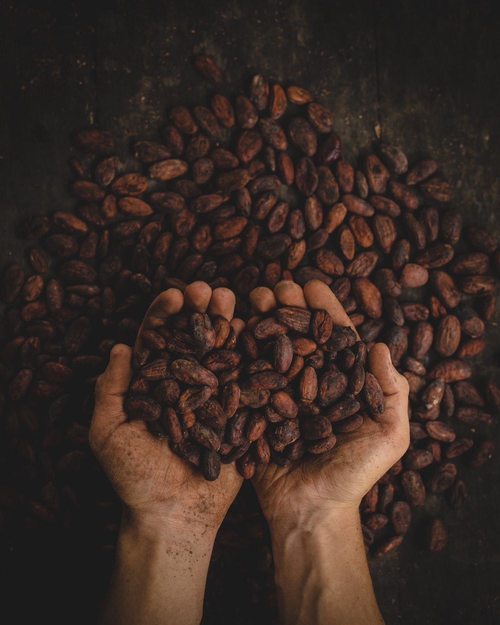 Cocoa Bean Wallpapers