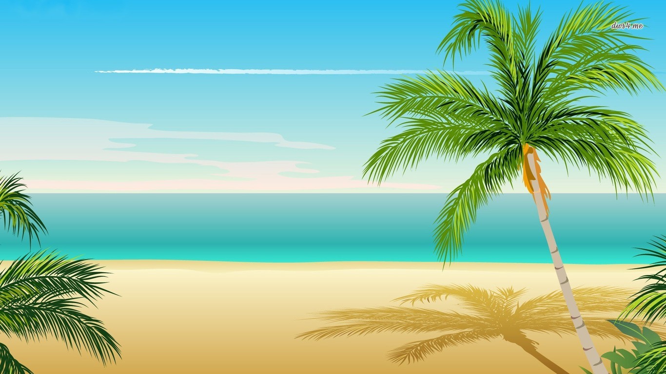 Coconut Tree Wallpapers