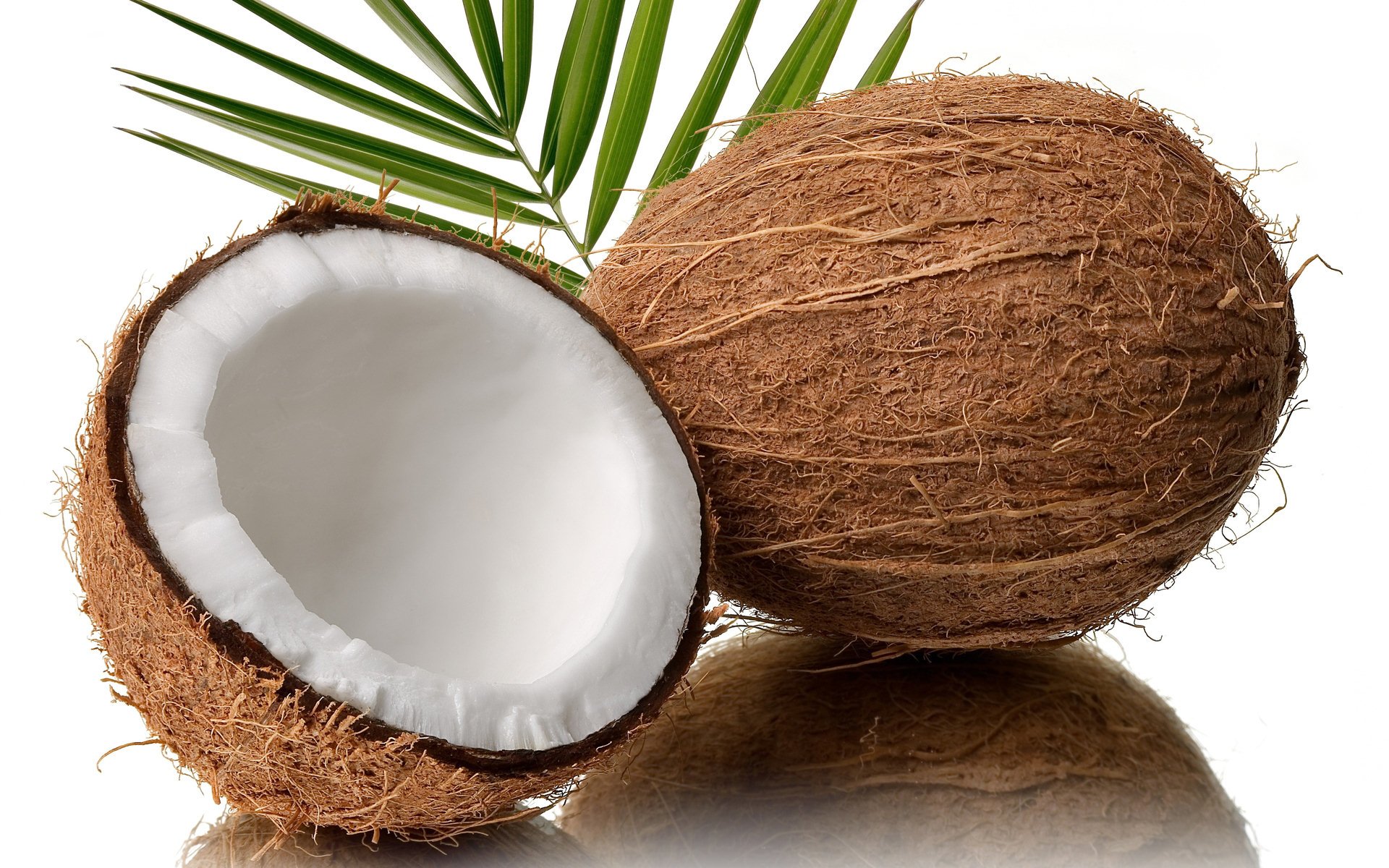 Coconut Wallpapers