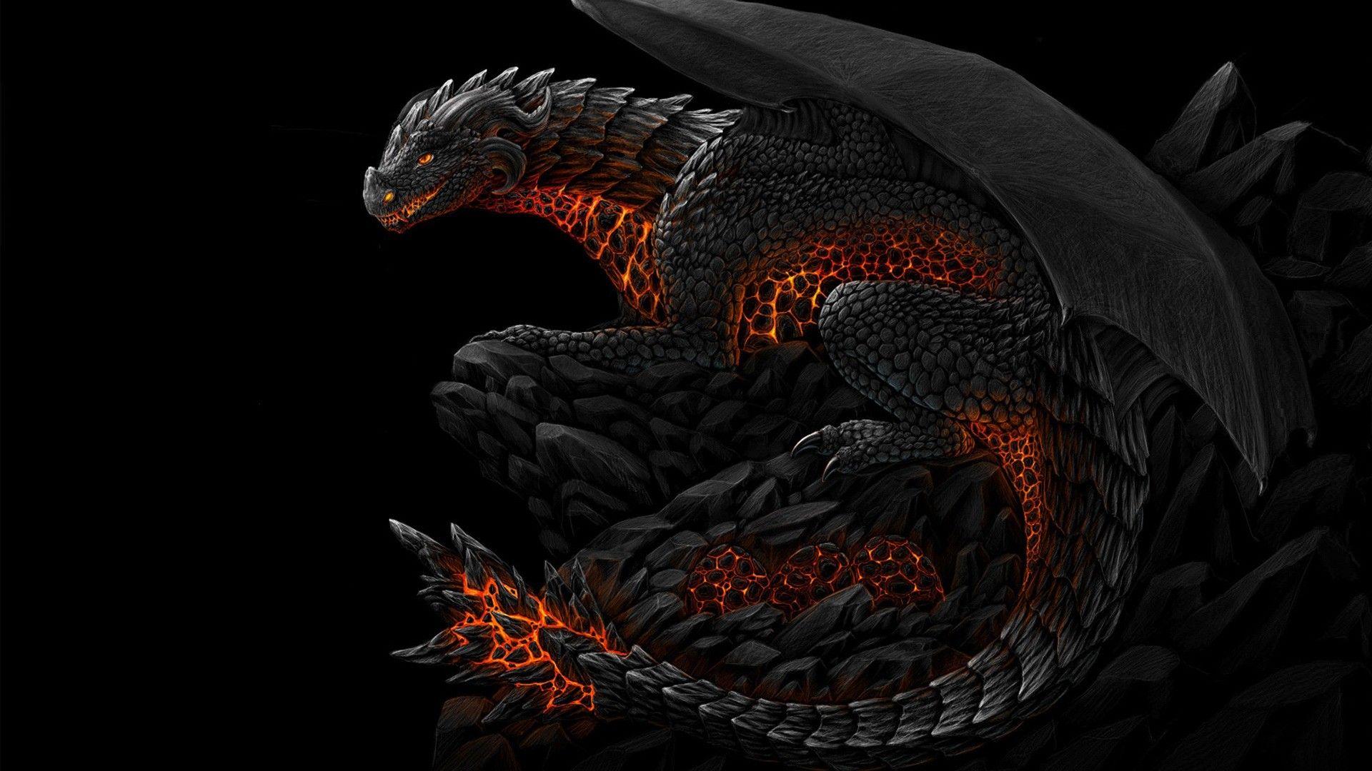 Codomo Dragon Wallpapers