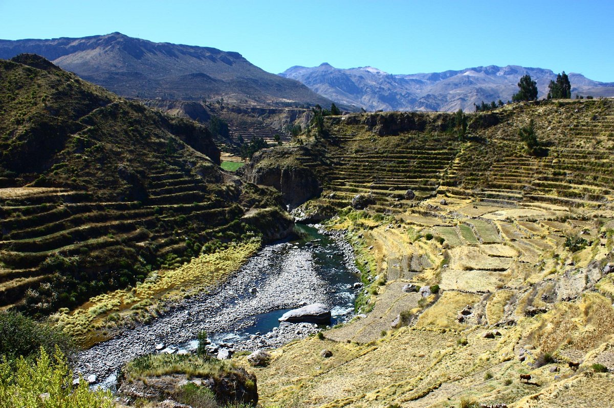 Colca Canyon Wallpapers