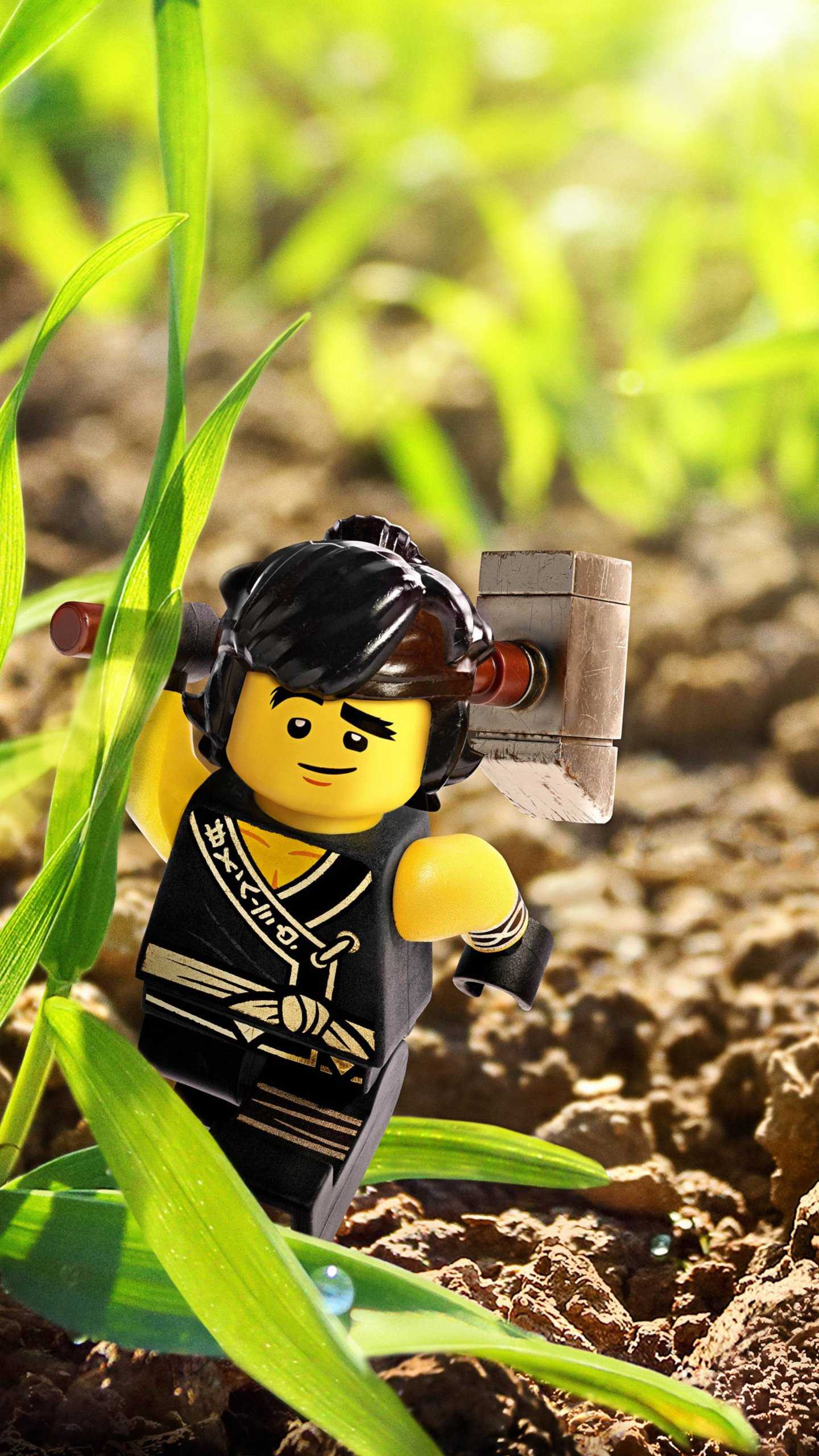 Cole From Kai - The Lego Ninjago Movie Wallpapers