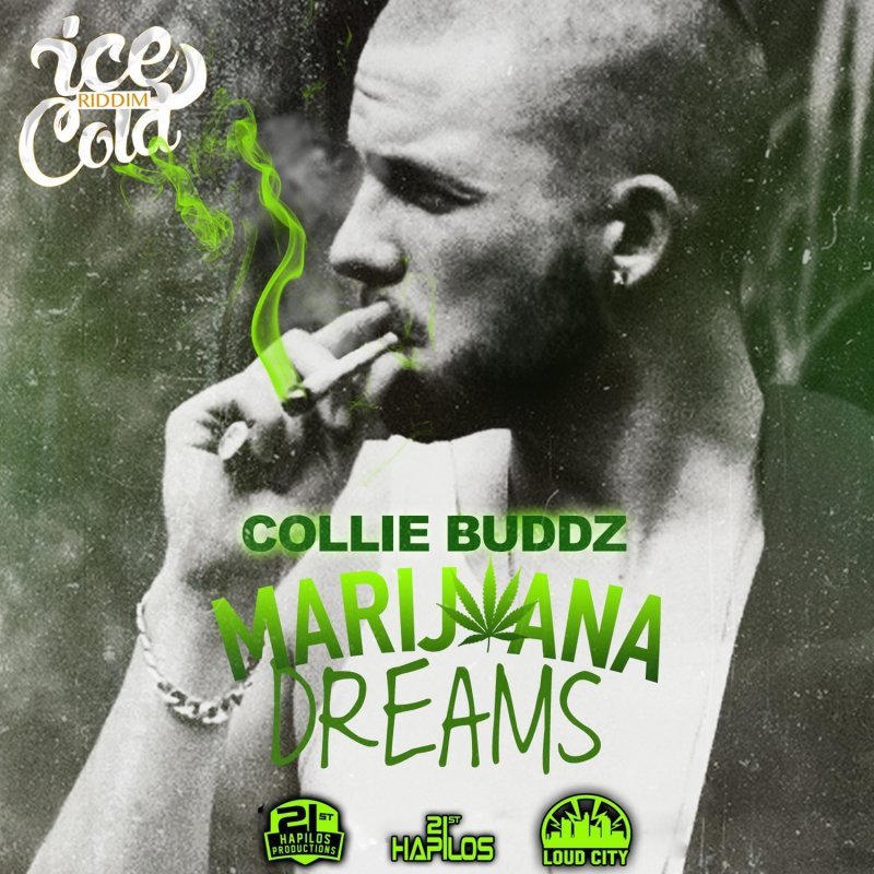 Collie Buddz Wallpapers