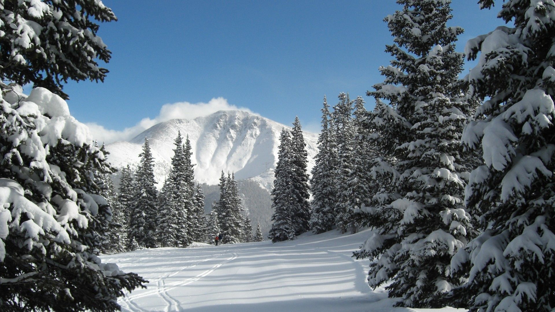 Colorado Snow Wallpapers