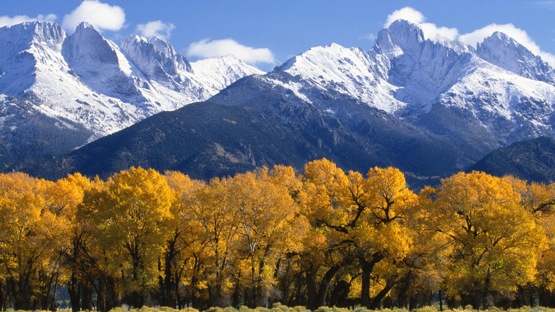 Colorado Snow Wallpapers