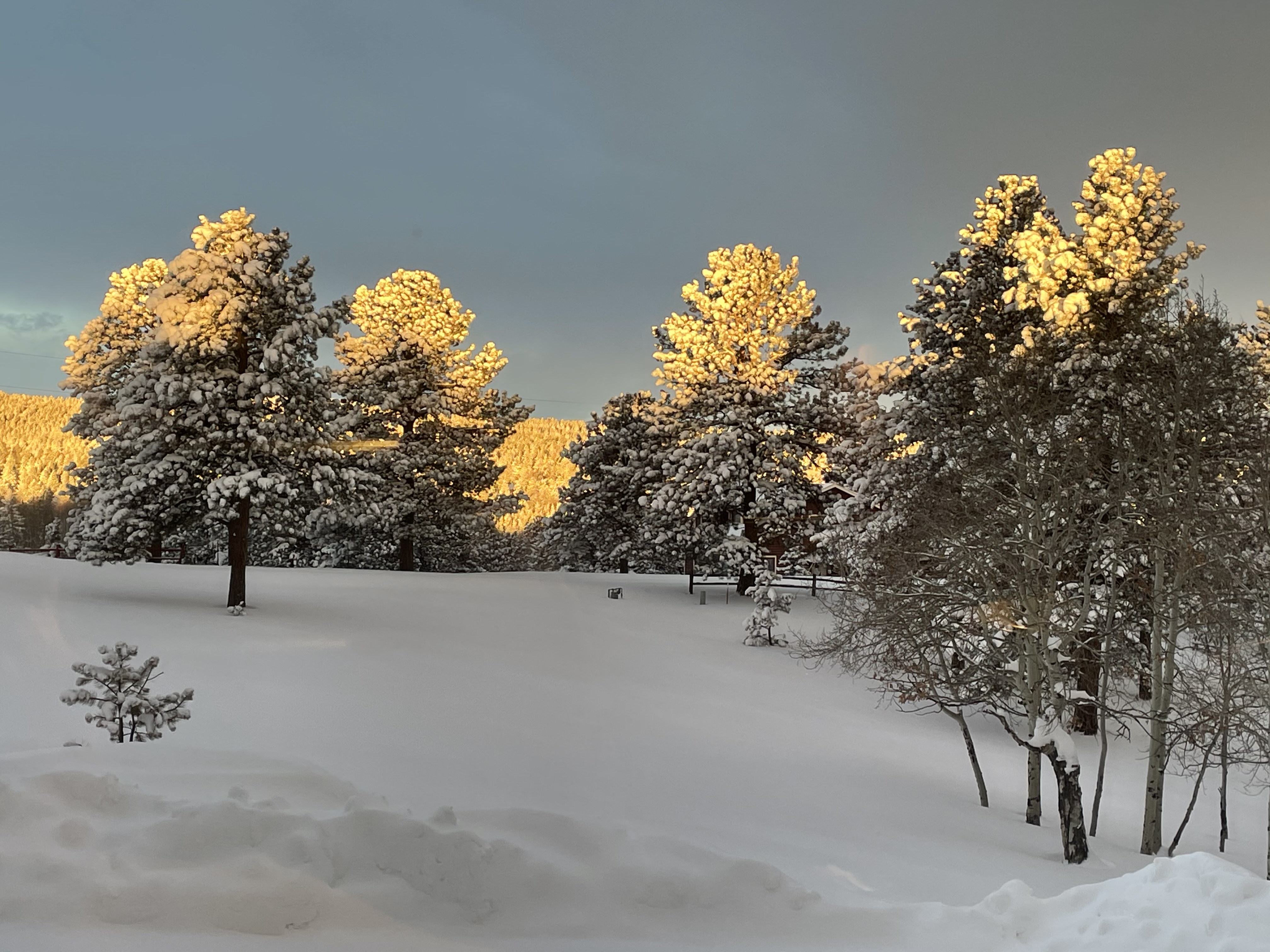 Colorado Snow Wallpapers