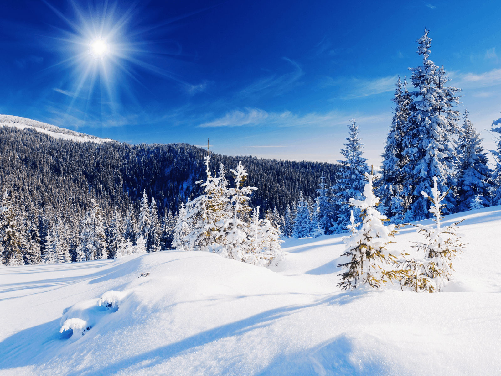 Colorado Winter Wallpapers