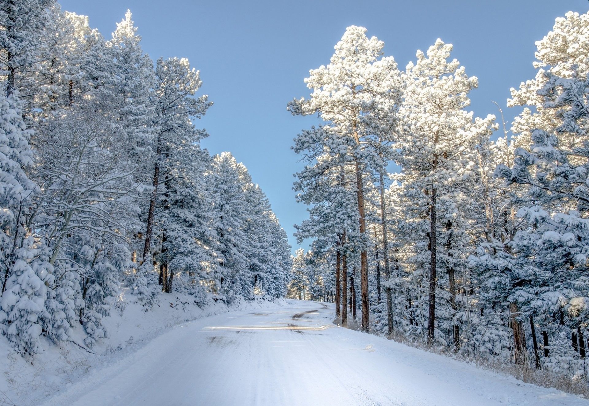 Colorado Winter Wallpapers