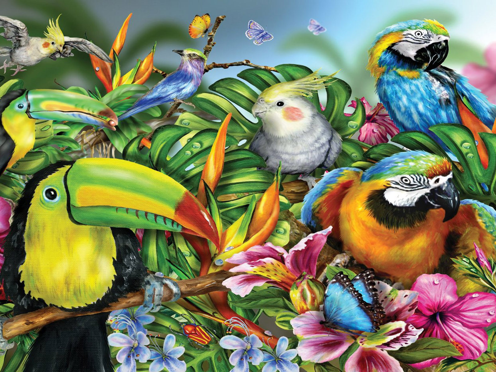 Colorful Birds Wallpapers