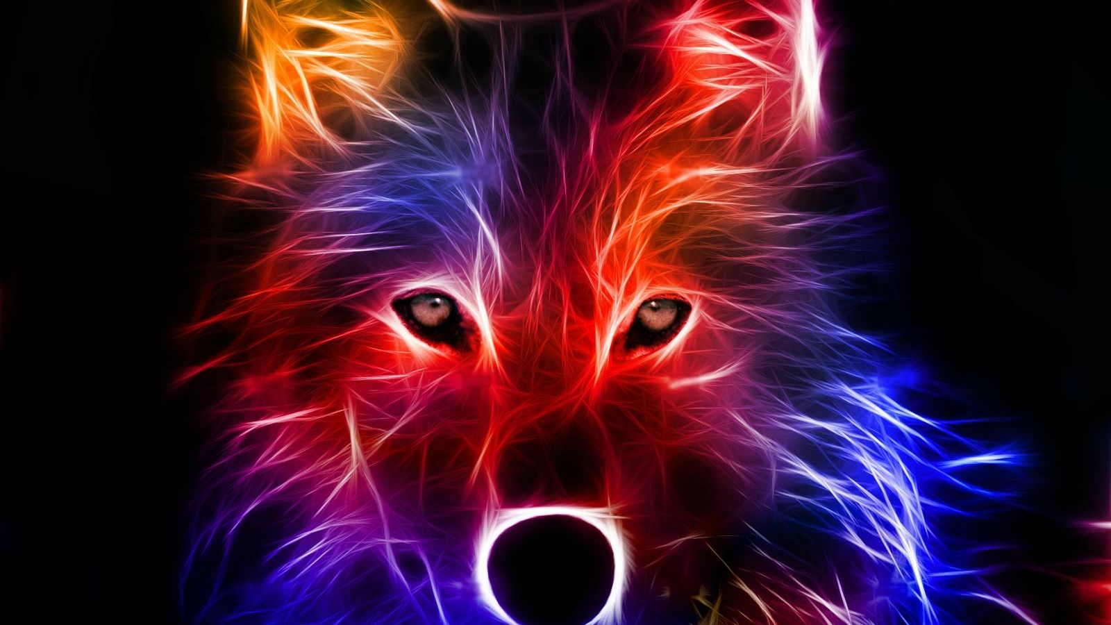 Colorful Dog Wallpapers