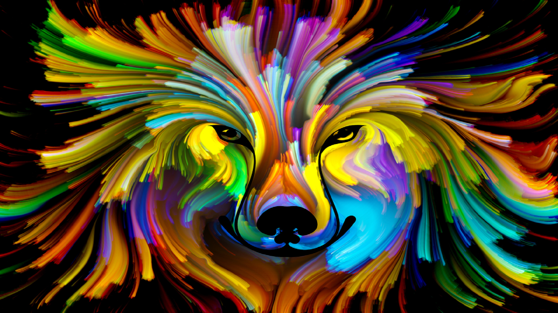 Colorful Dog Wallpapers