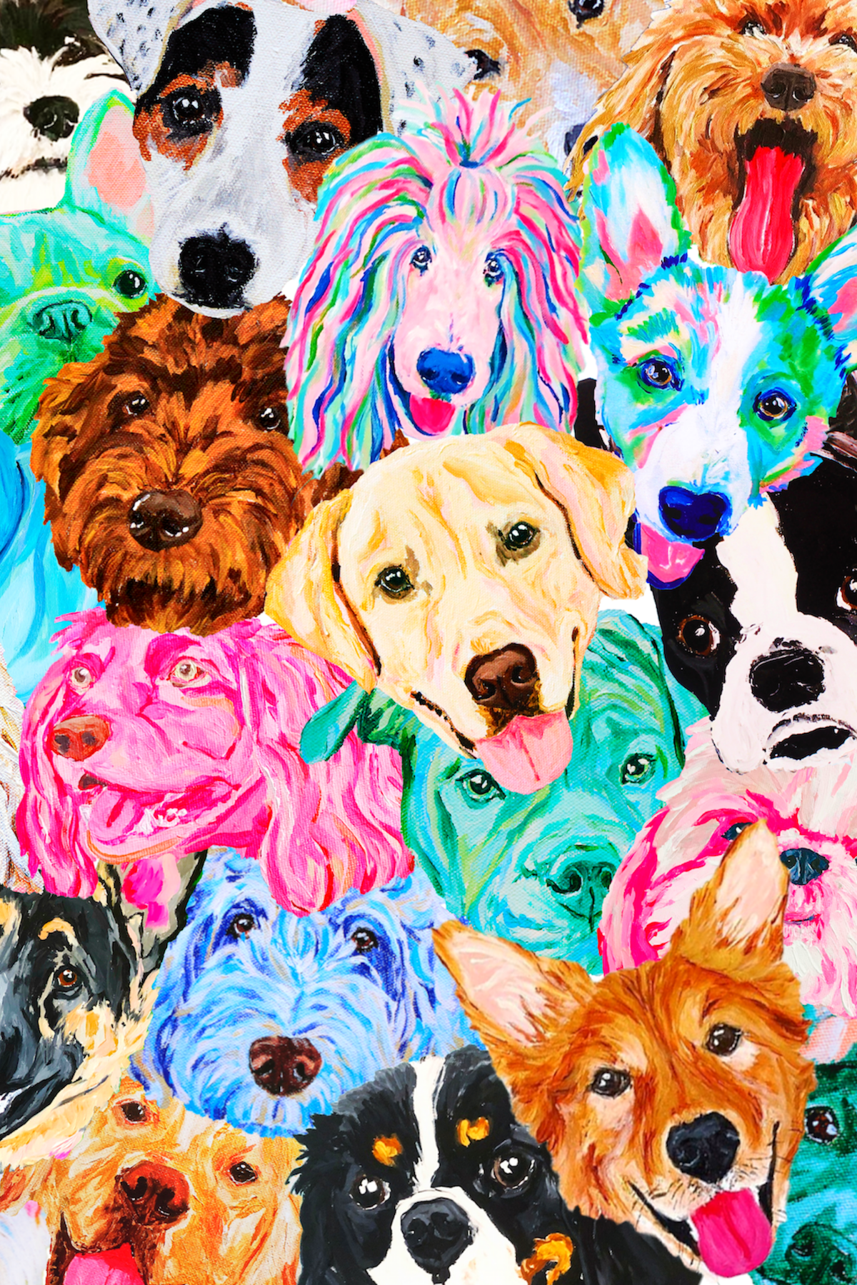 Colorful Dog Wallpapers