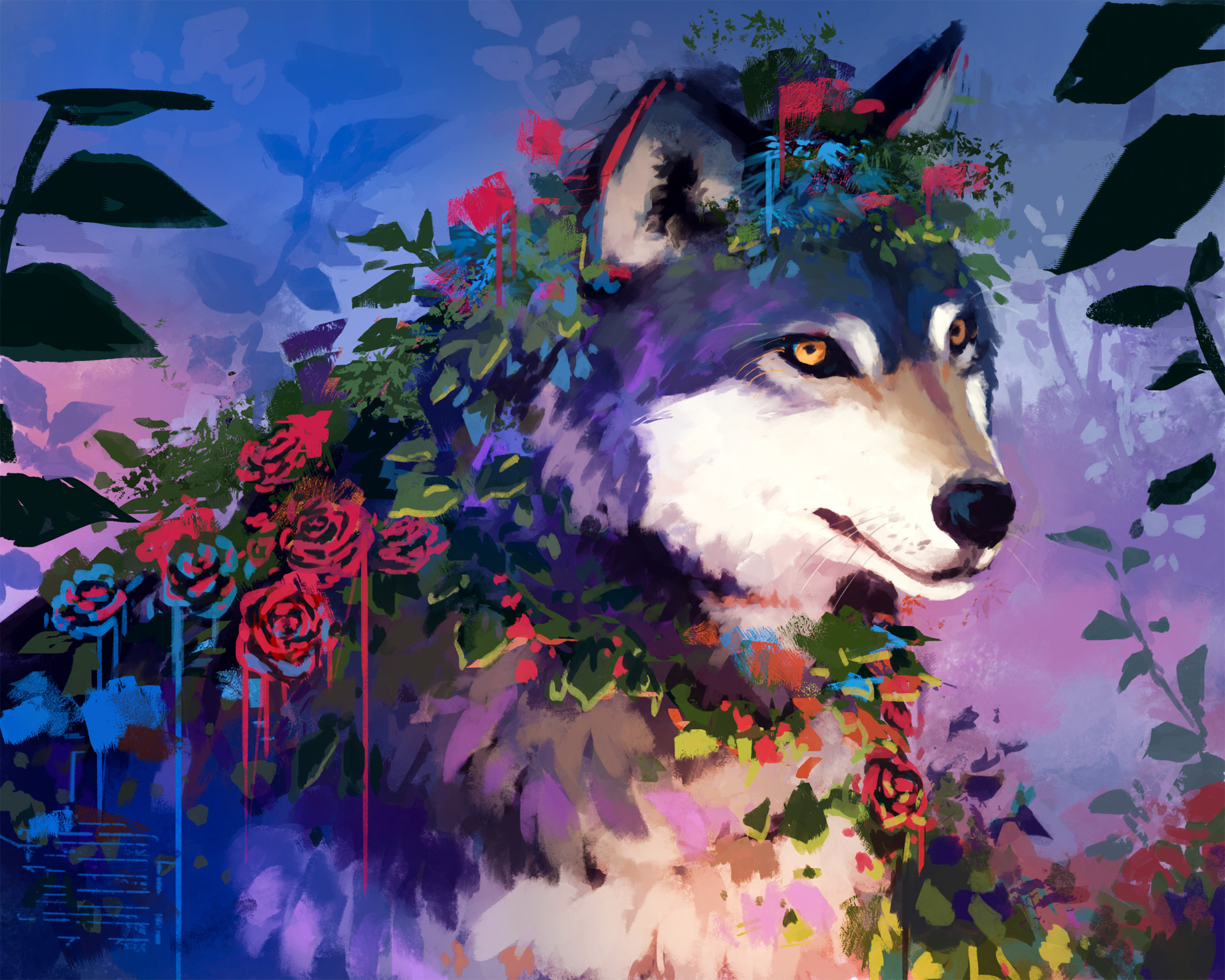 Colorful Dog Wallpapers